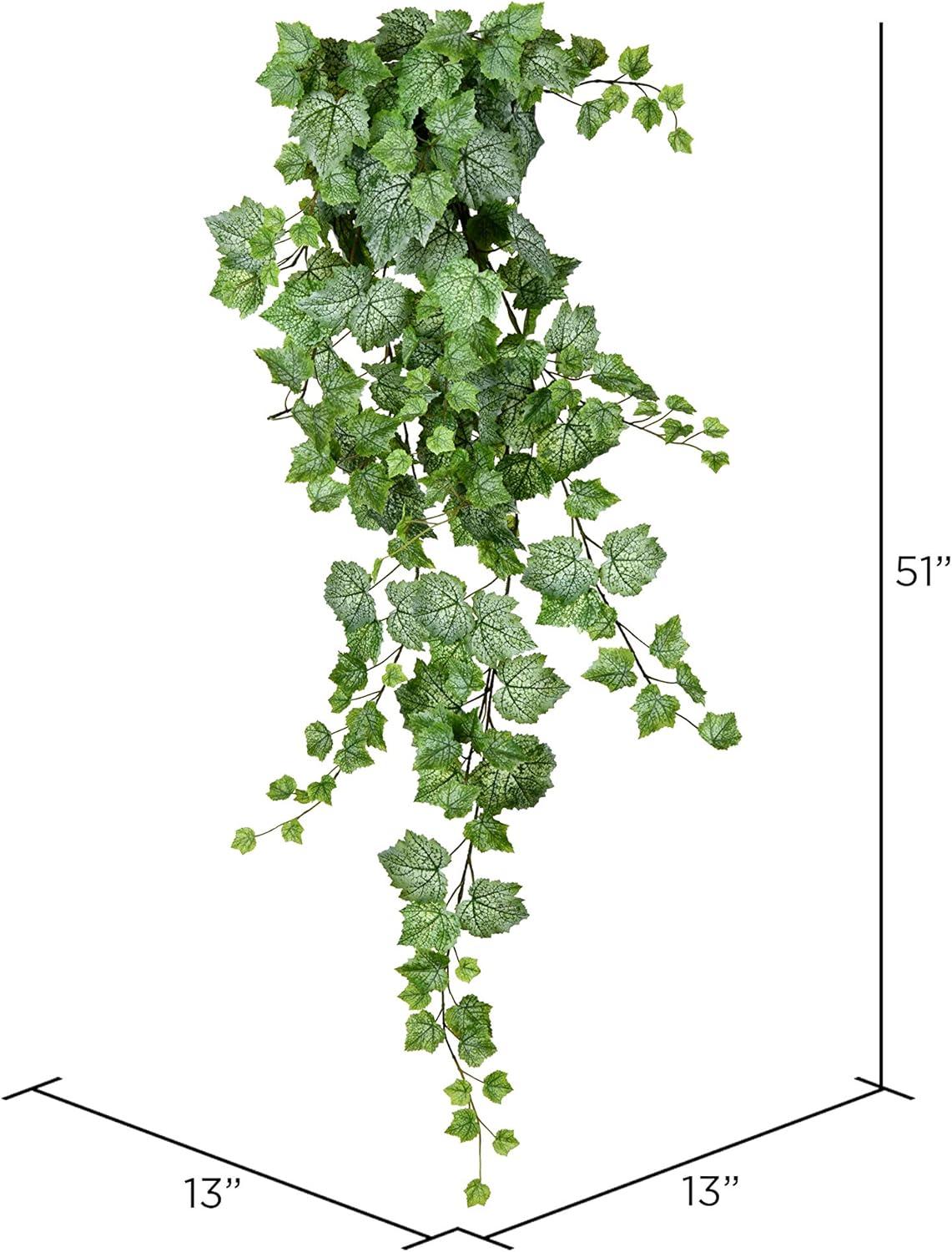 Vickerman 51" Artificial Green & White Grape Leaf Ivy Hanging Bush.