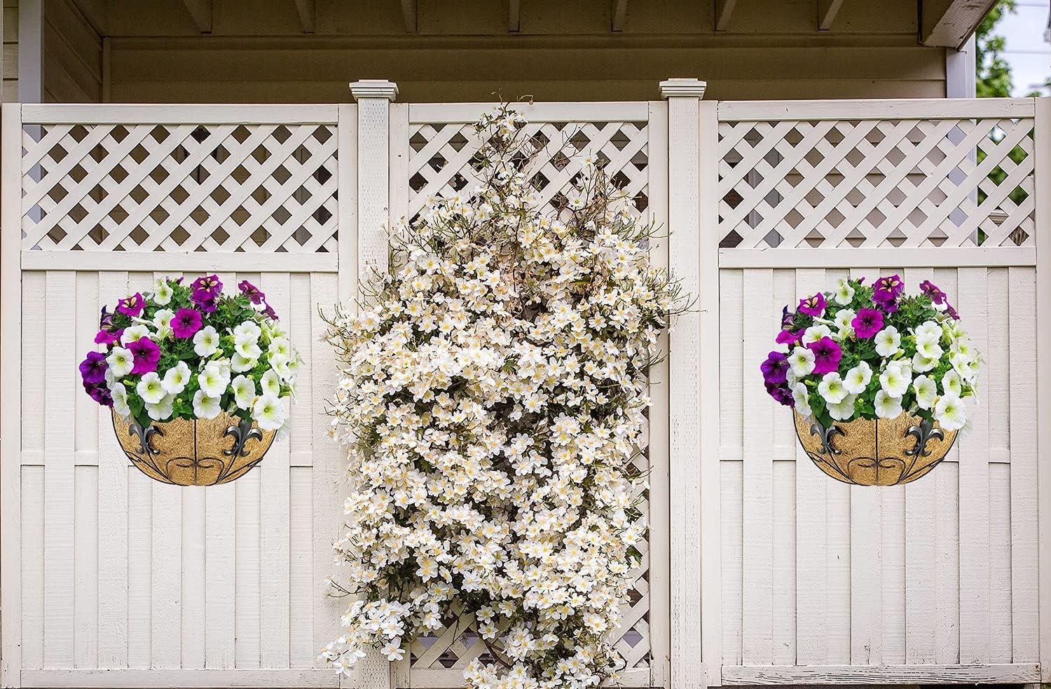 Ashman Wall/Rail Metal Plant Basket, Black, 2 Pack – Hanging Flower Planters for Fences & Walls