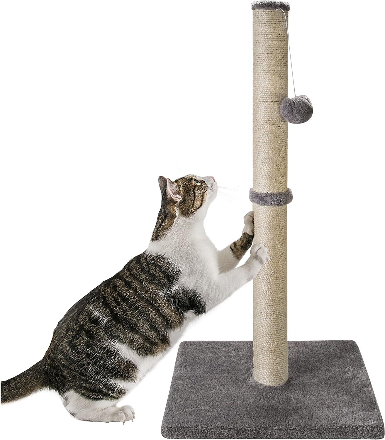 Tucker Murphy Pet™ 29" Tall Cat Scratching Post, Scratch Posts With Sisal Rope And Hanging Interactive Toy Ball For Indoor Cats And Kittens