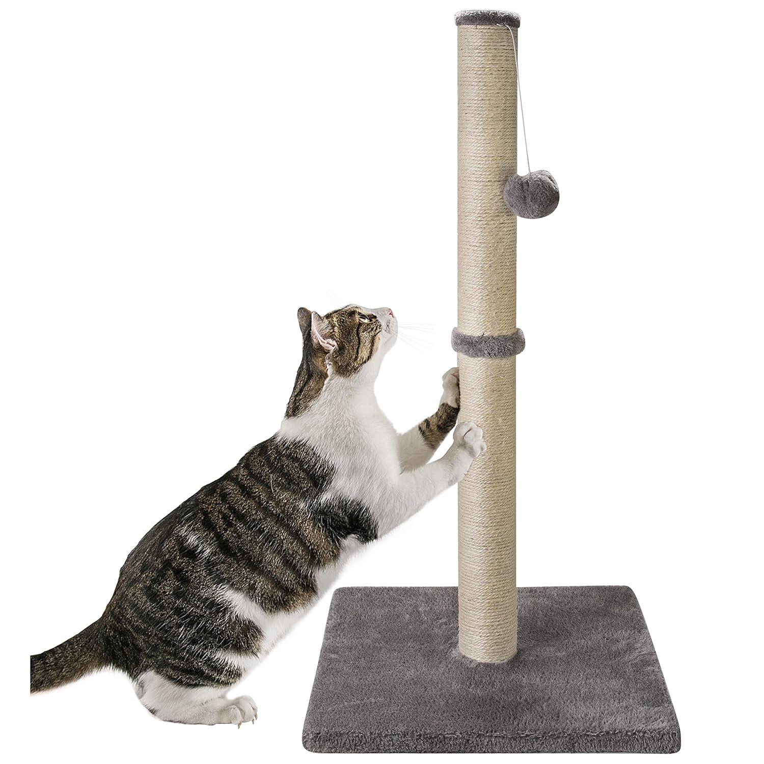 Tucker Murphy Pet™ 29" Tall Cat Scratching Post, Scratch Posts With Sisal Rope And Hanging Interactive Toy Ball For Indoor Cats And Kittens