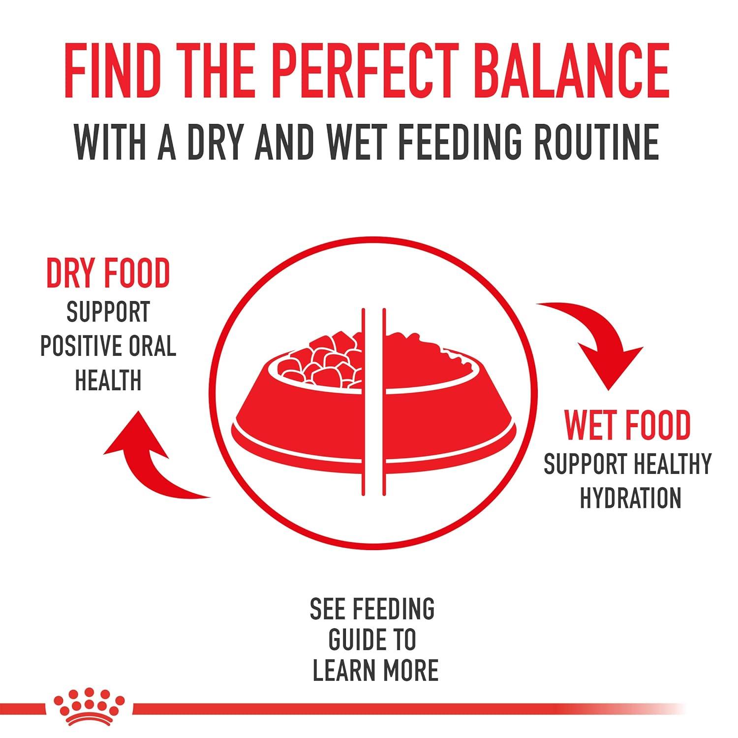 Royal Canin Small Breed Adult Dry Dog Food, 14 lb Bag