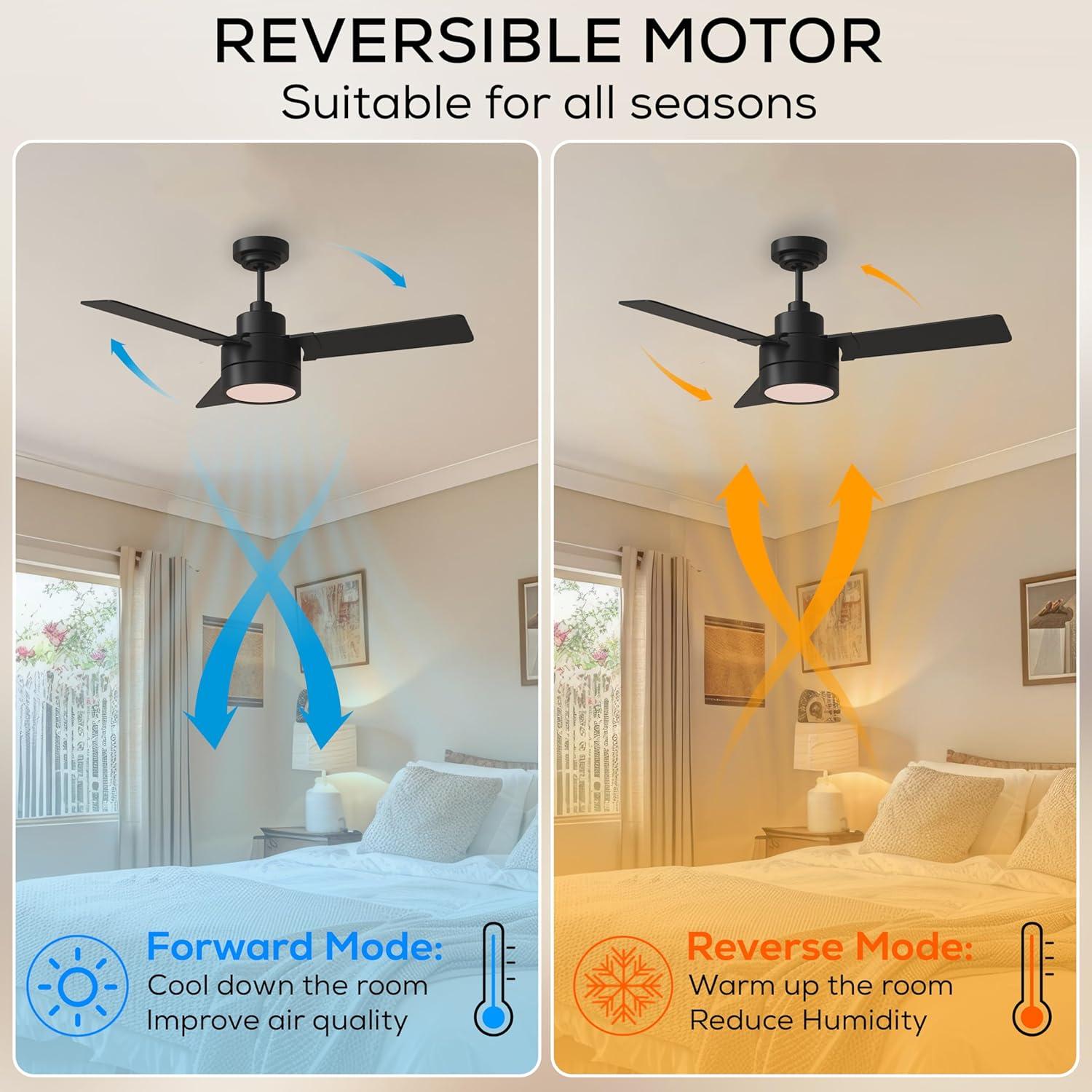 Ebie 44'' Ceiling Fan with LED Lights