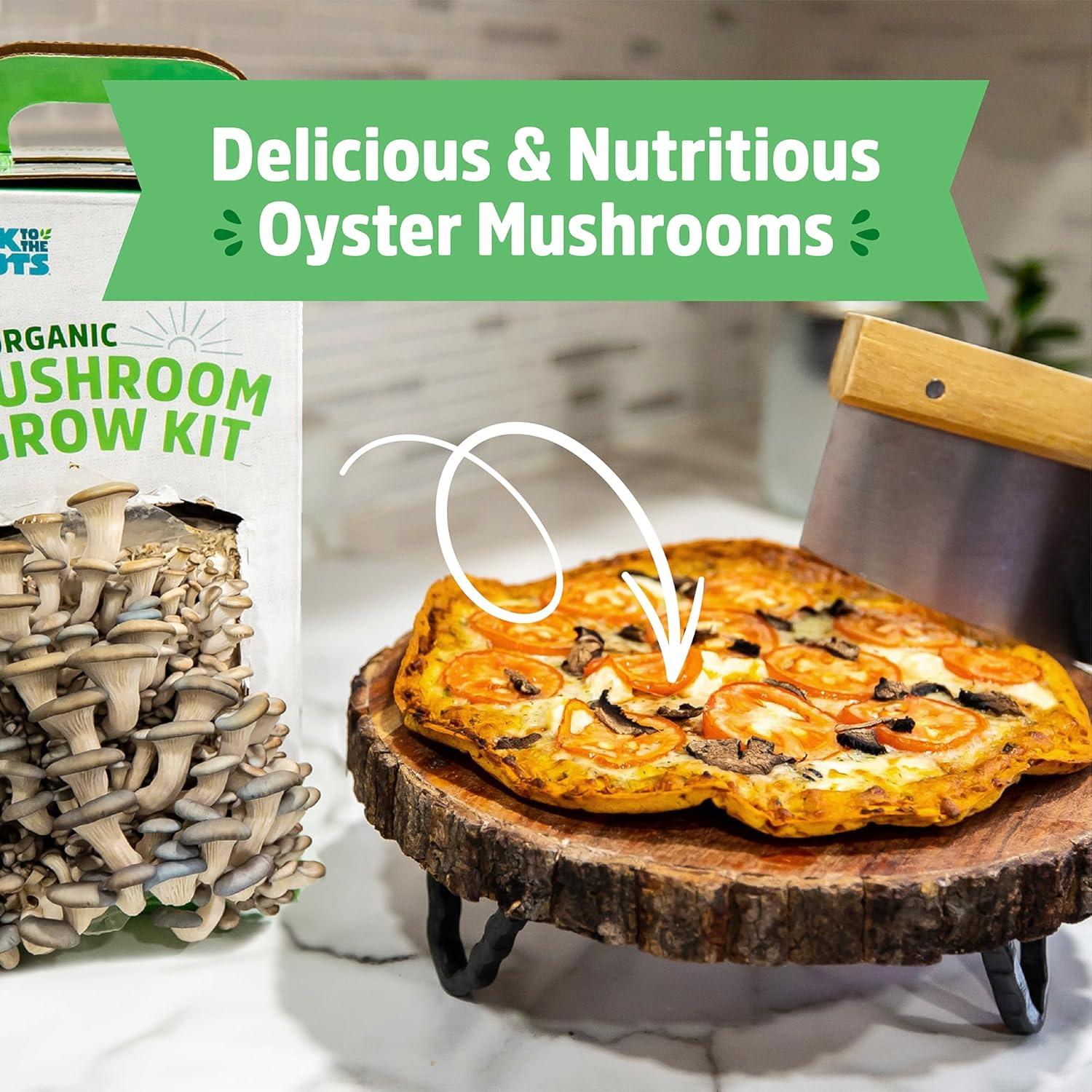Back to the Roots  Organic Mushroom Grow Kit