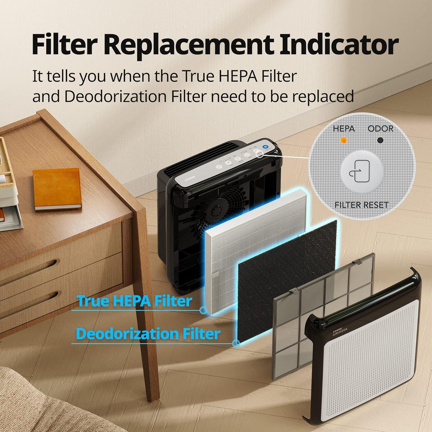 Black Ionic HEPA Air Purifier with Odor Absorbing Filter