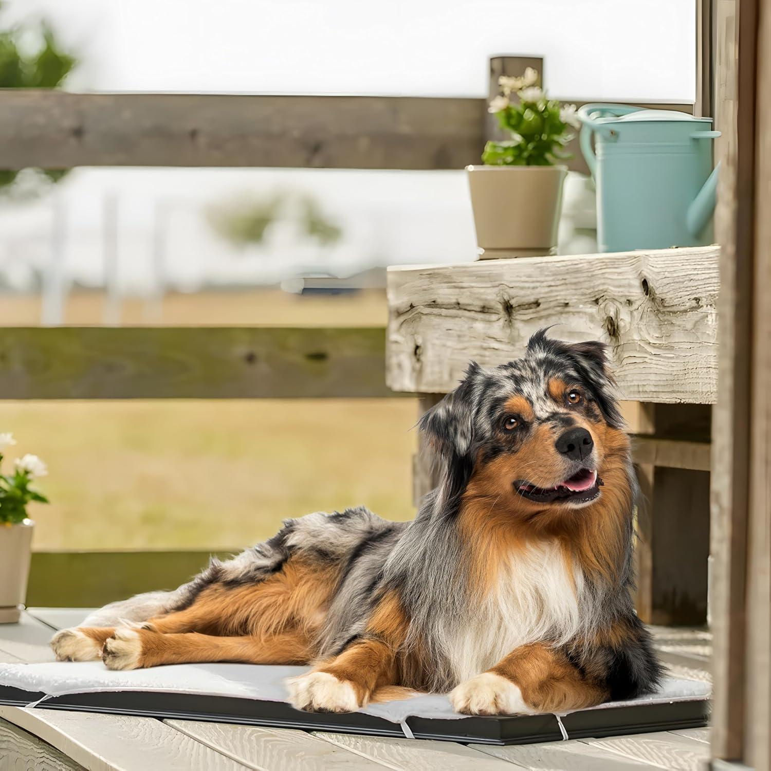 Farm Innovators HM-100L 24 x 29 In Plastic Heated Pet Mat with Fleece Cover and Heavy Duty Anti Chew Cord Protector for Dogs, Cats, and More, 100W