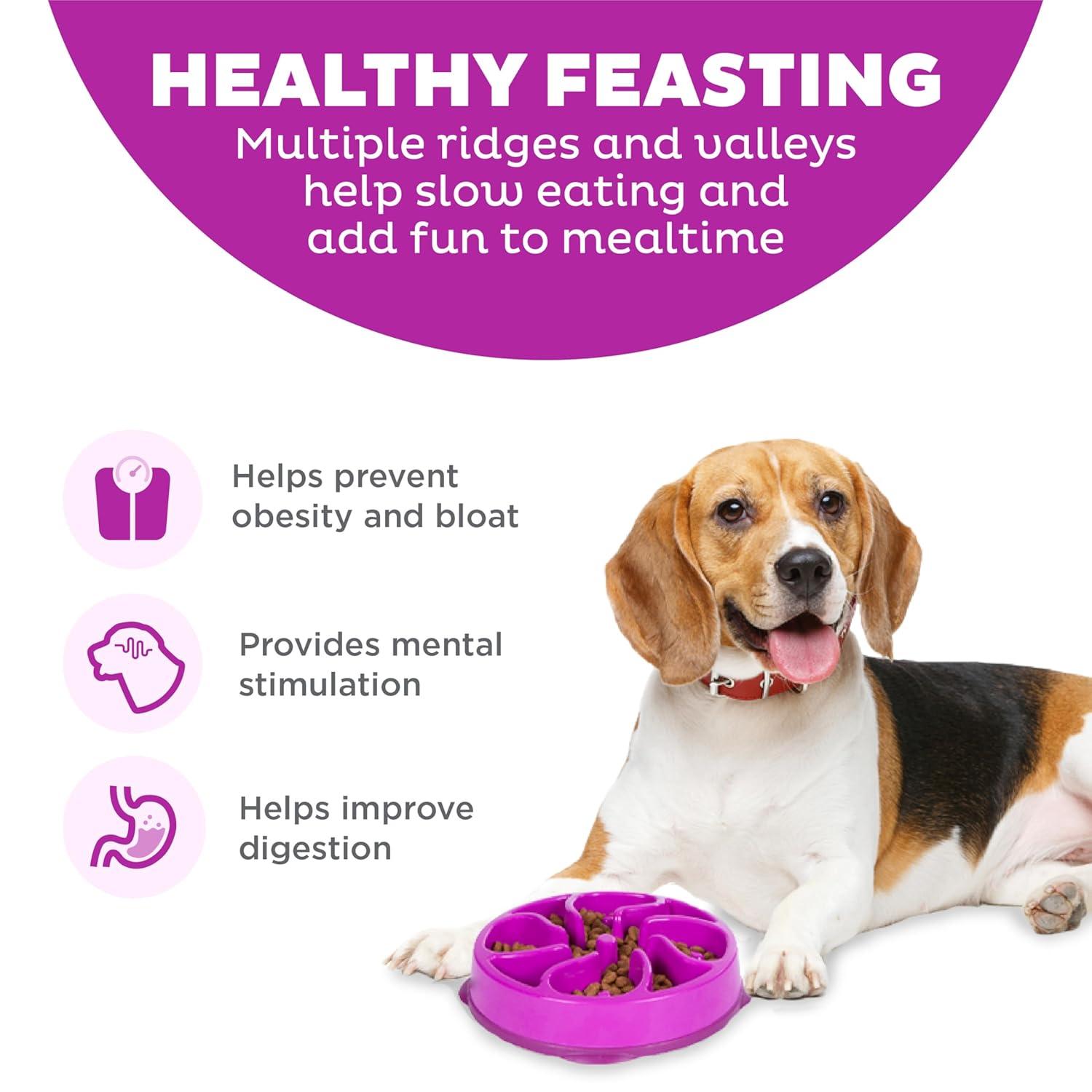 Outward Hound Fun Feeder Slo Bowl, Medium Slow Feeder Dog Bowl, 2 Cups, Purple