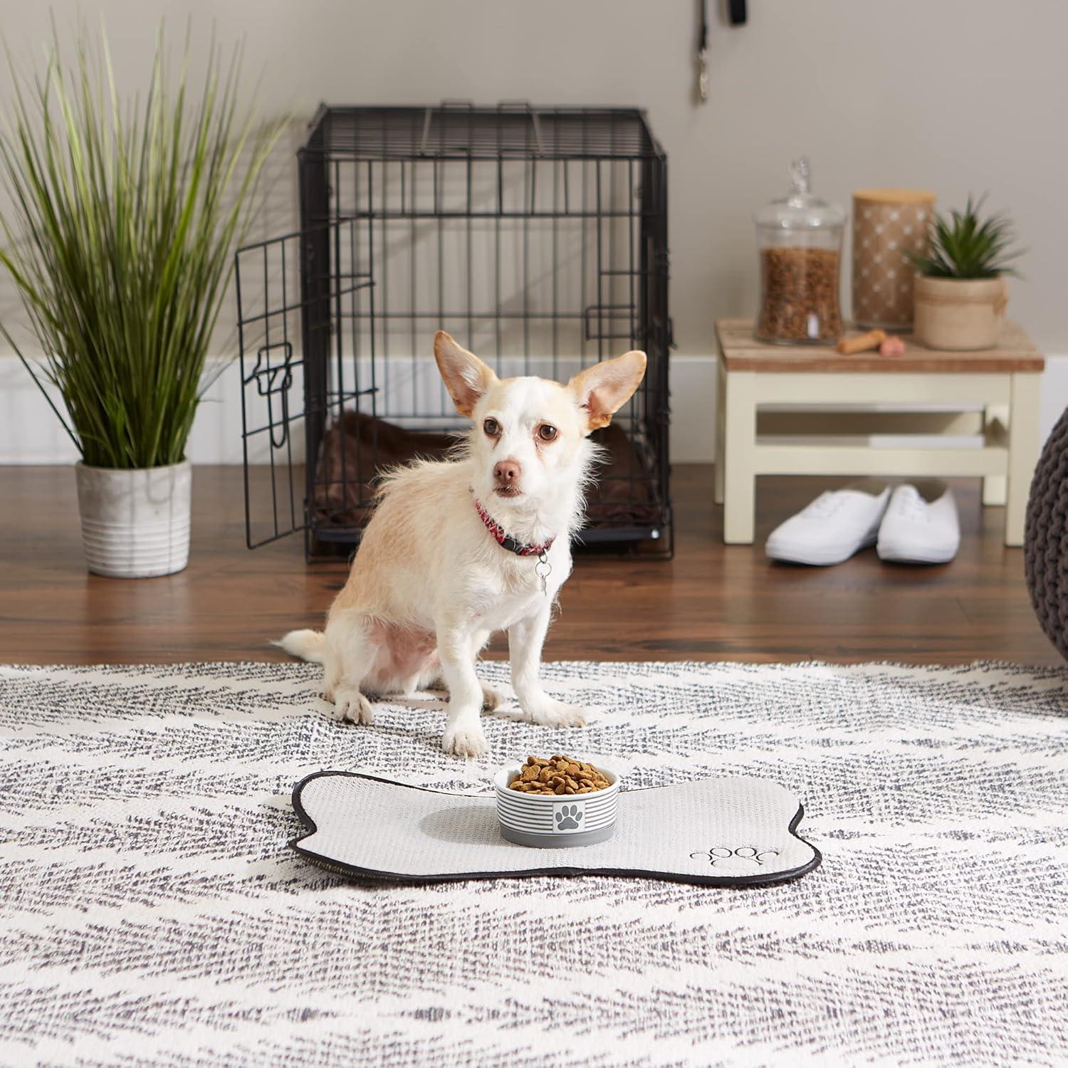 Anti-Skid Pet Bowl