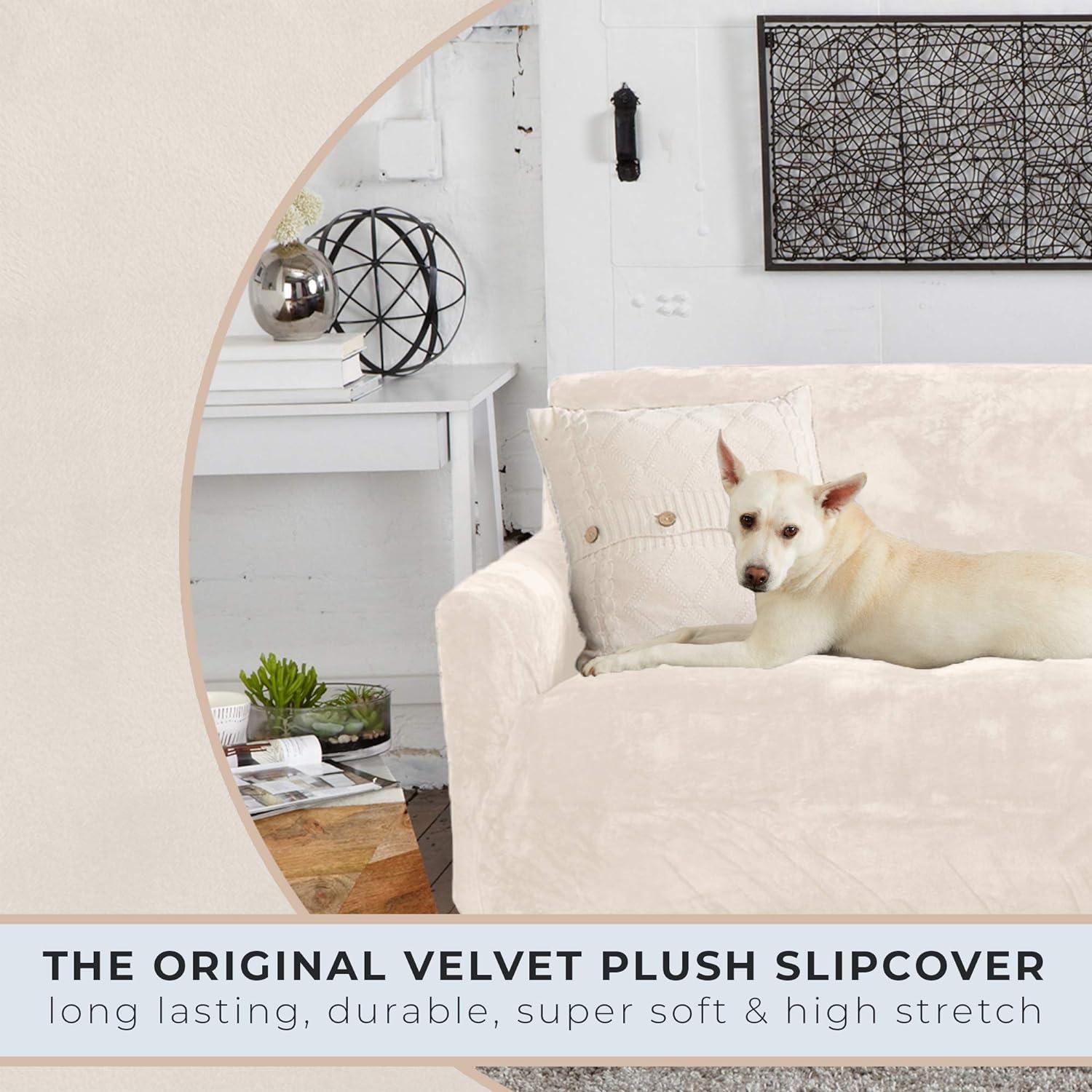 Off-White Velvet Stretch Armchair Slipcover