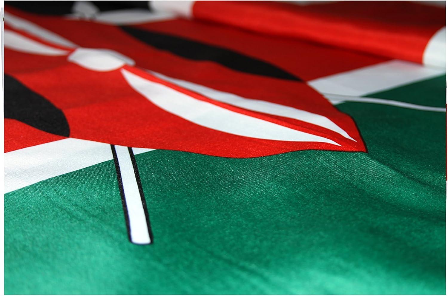 3x5 Tibet China Flag Buddhism Banner Dalai Lama Tibetan Pennant Chinese Outdoor