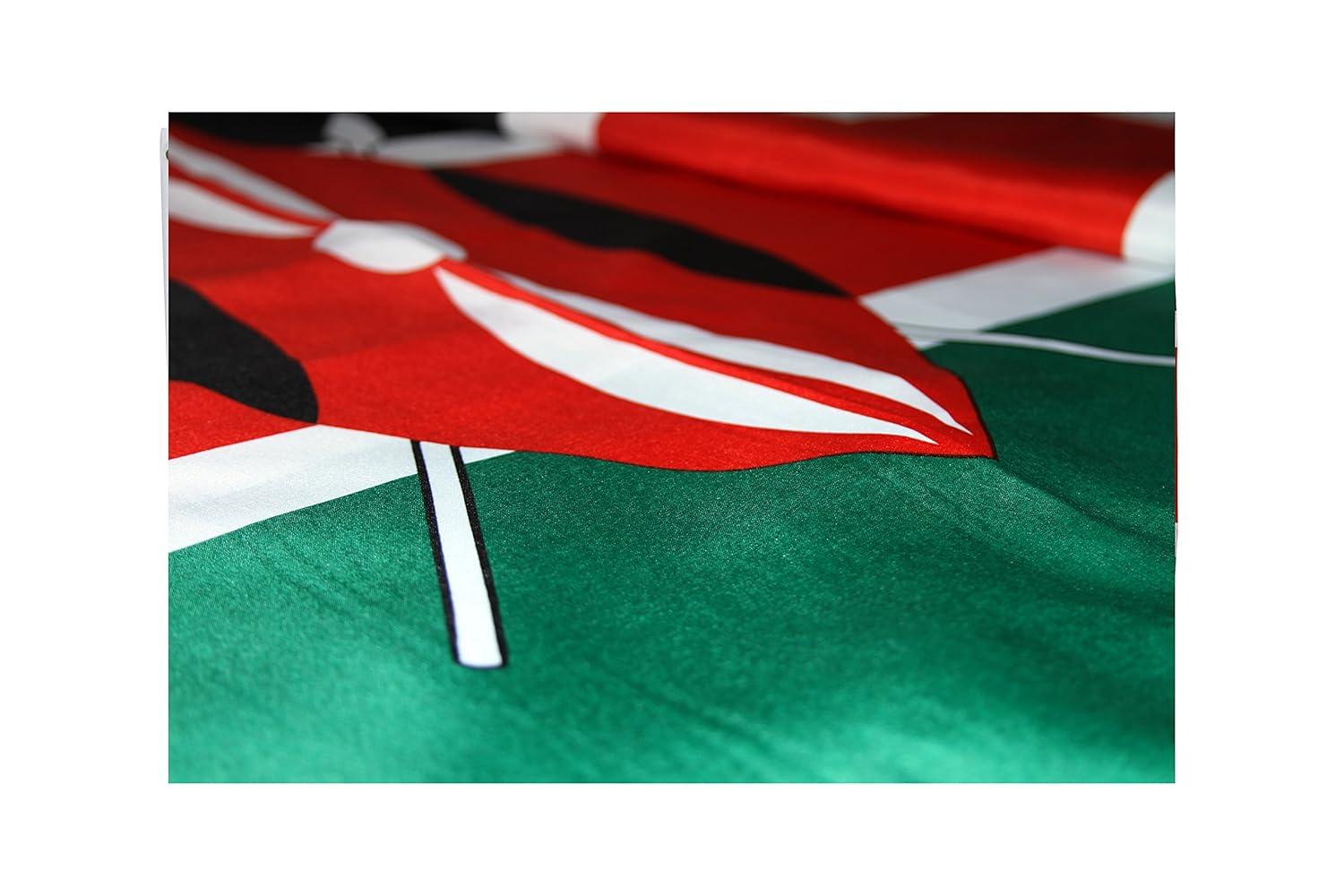 3x5 Tibet China Flag Buddhism Banner Dalai Lama Tibetan Pennant Chinese Outdoor