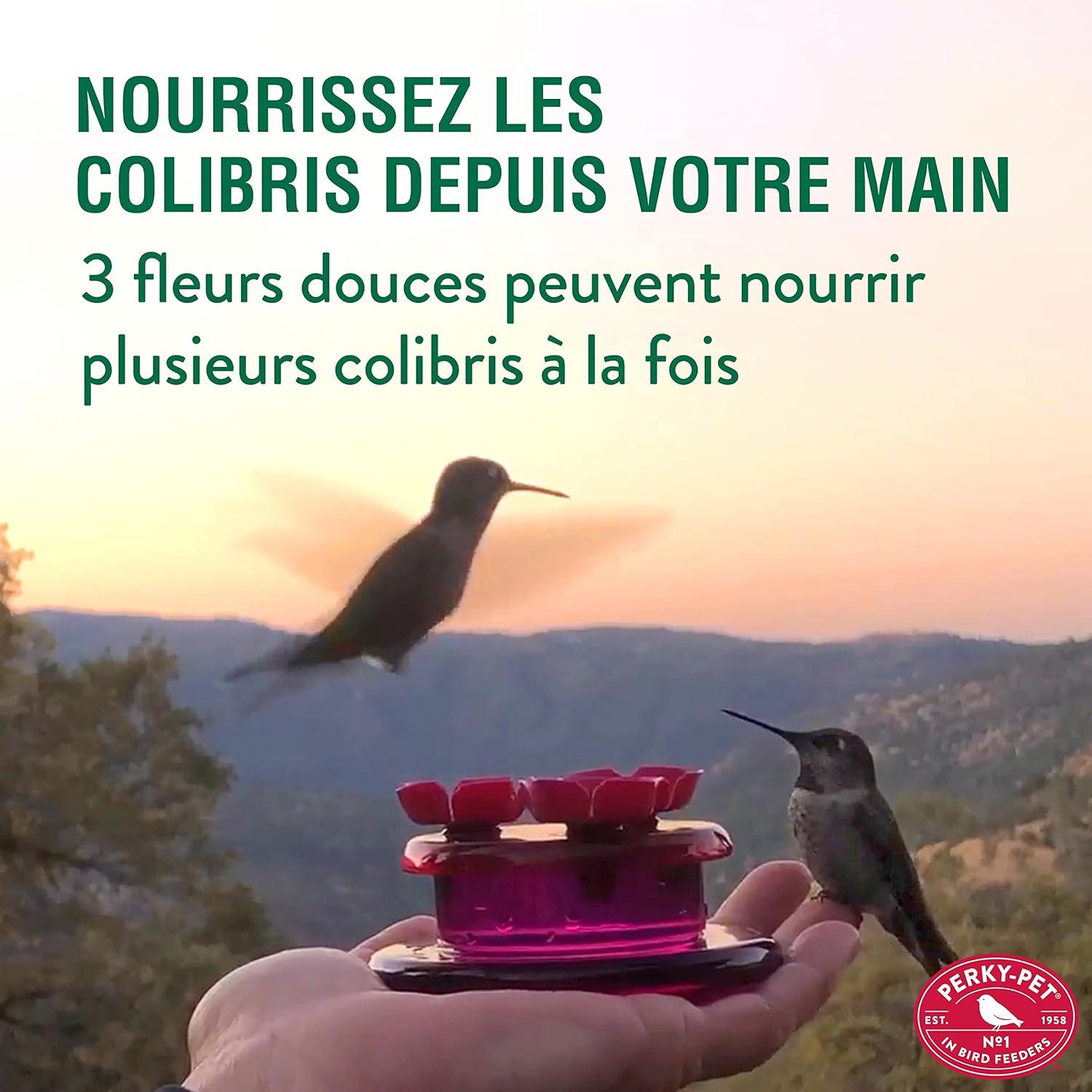 Perky-Pet Hummingbird 2 oz Plastic Handheld Bird Feeder 3 ports