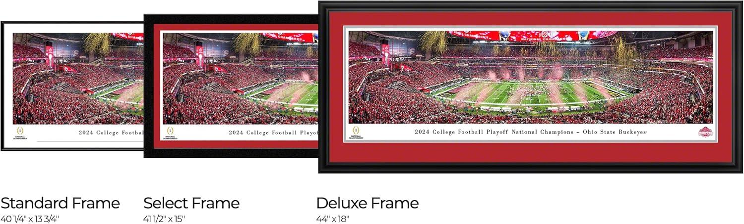 Ohio State Buckeyes LE Custom Framed 2024-25 National Champions Photo With Bronze Coin
