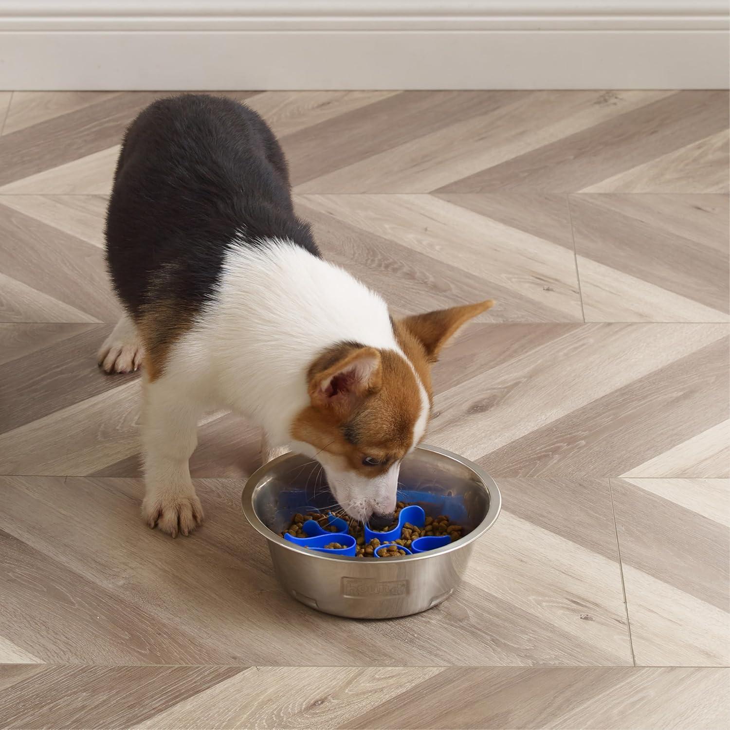 Medium Silver Stainless Steel Slow Feeder Dog Bowl with Blue Maze