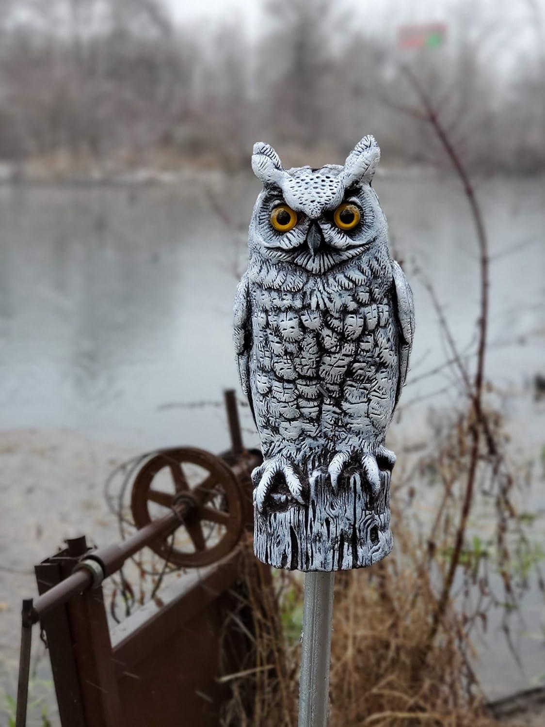 Dalen Fake Owl Decoy to Scare Birds Away from Gardens, Rooftops, and Patios - Scarecrow Provides Chemical-Free Pest Control - Safe and Humane, 16" Great Horned Owl - Snow White