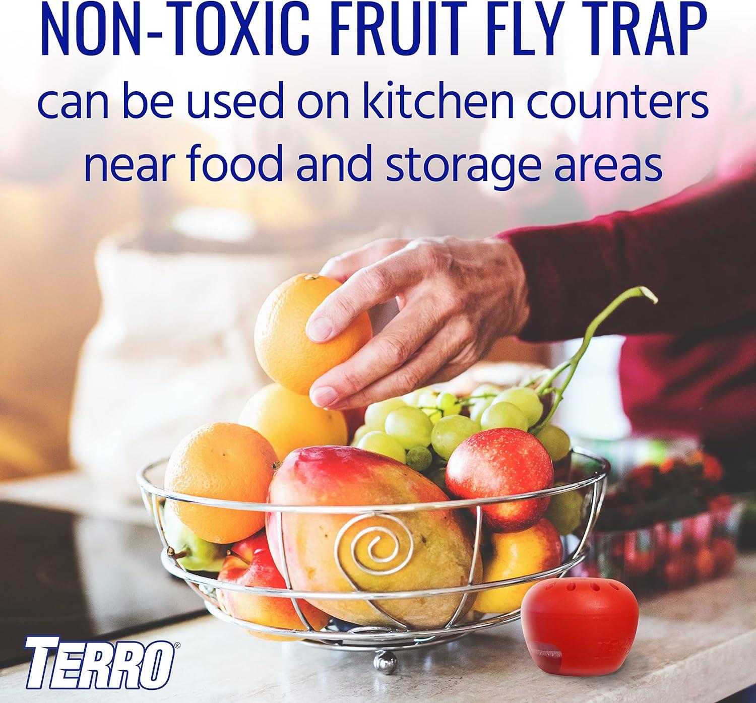 TERRO T2503-3 Ready-to-Use Indoor Fruit Fly Trap with Built in Window - 6 Traps + 270 Day Lure Supply