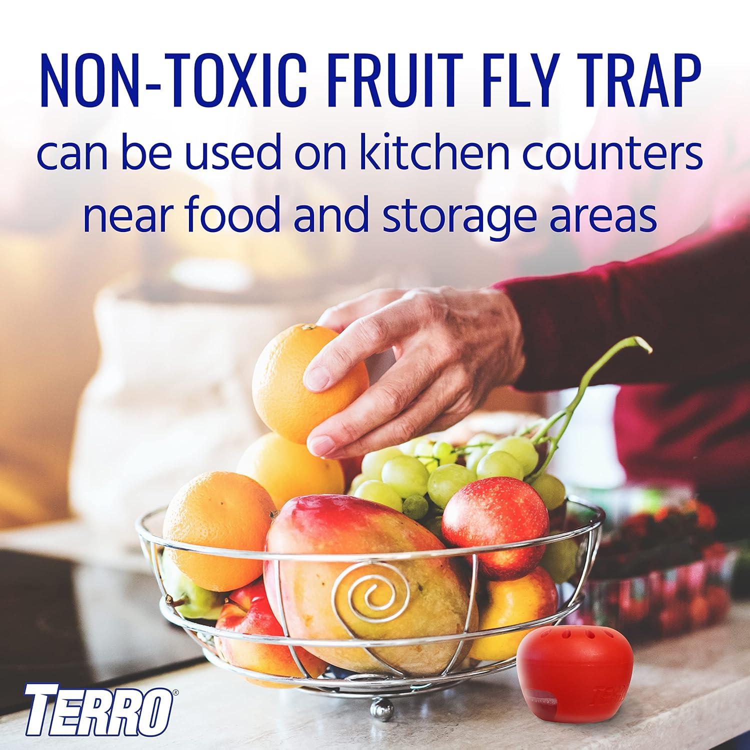 Terro Fruit Fly Trap, 6 Pack