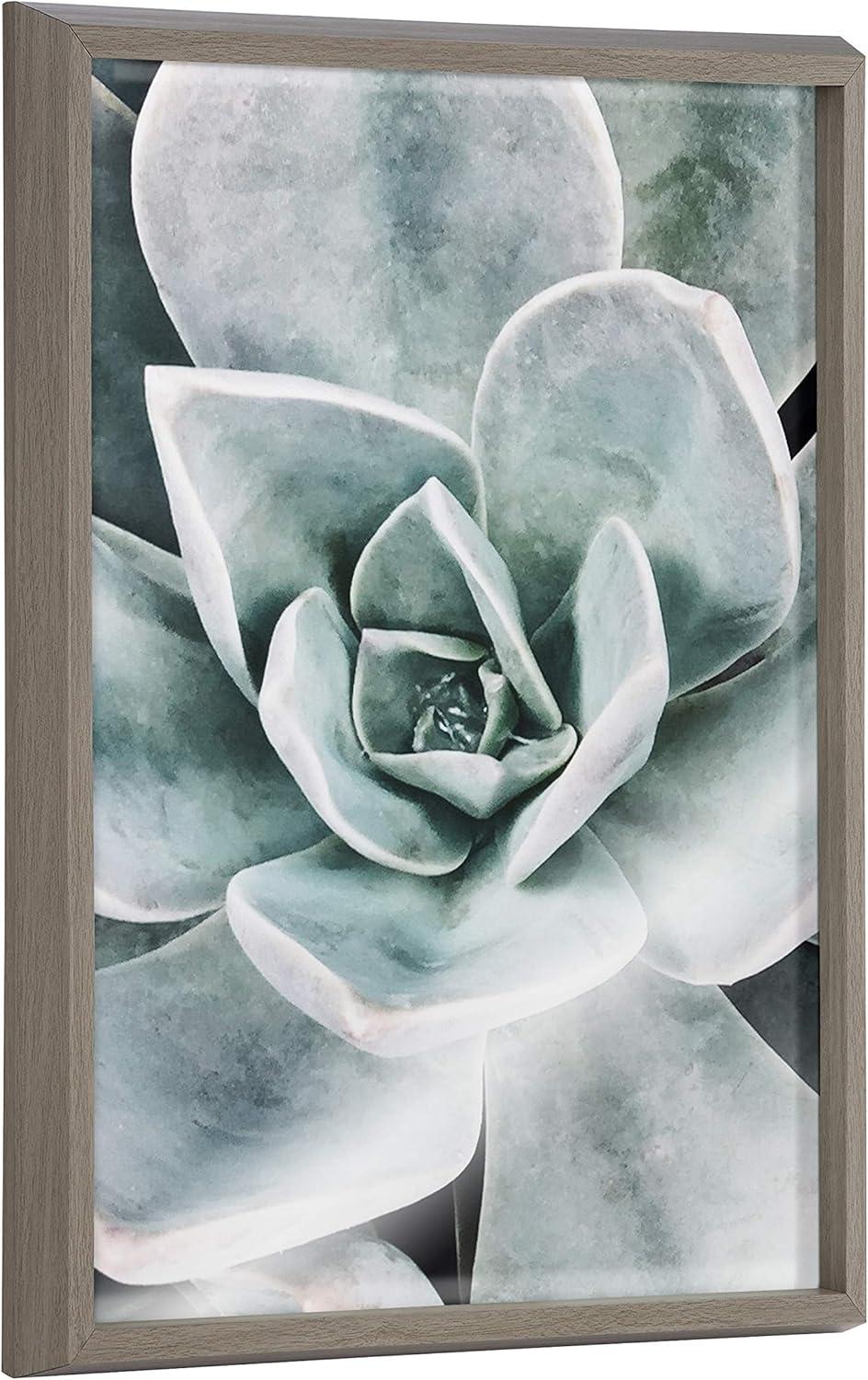 18" x 24" Blake Botanical Succulent Plants Printed Glass Framed Canvas by the Creative Bunch Studio Gray - Kate & Laurel All Things Decor: