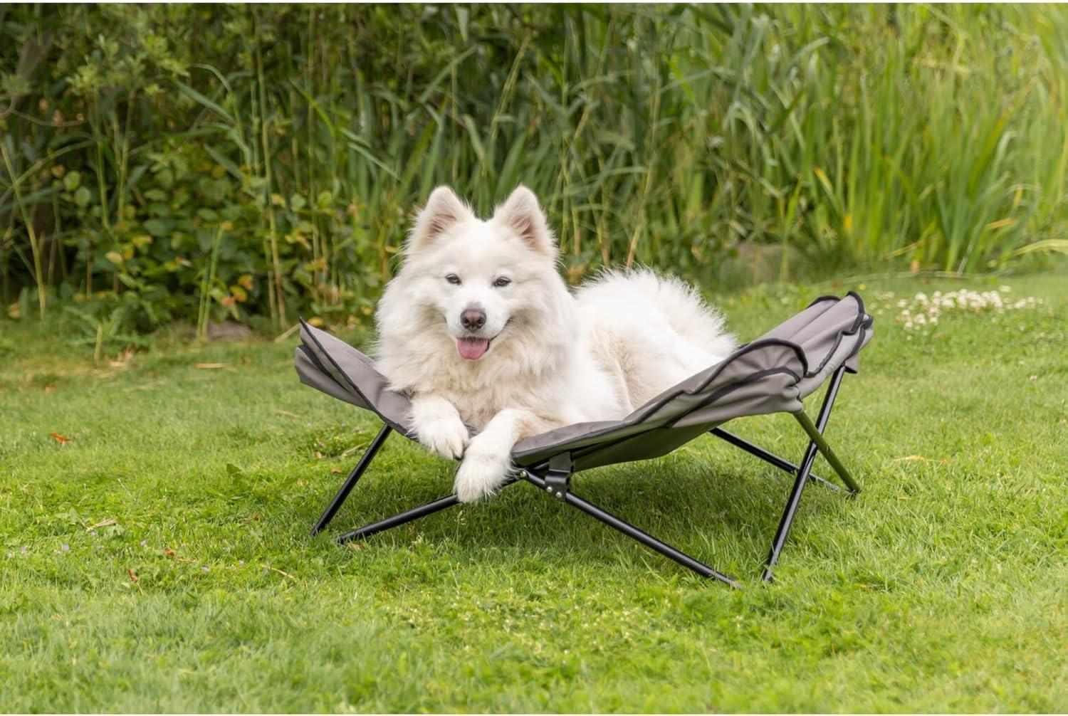 TRIXIE Camping Cot for Dogs, Elevated Dog Bed, Folding Padded Pet Bed, Raised Travel Lounger for Dogs