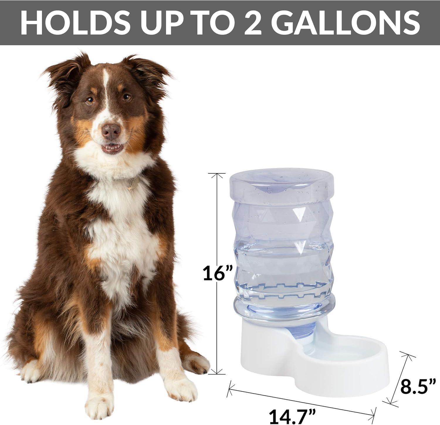 20oz. Automatic Water Dish