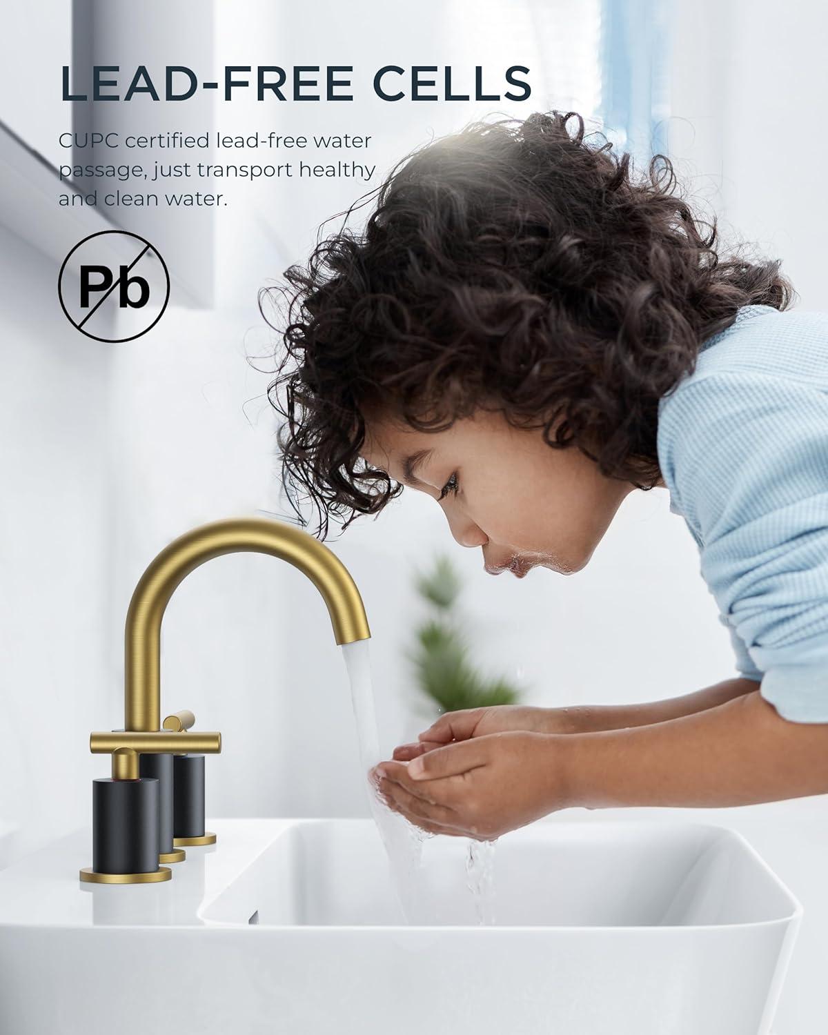 8-Inch Widespread Black and Gold Stainless Steel Bathroom Faucet