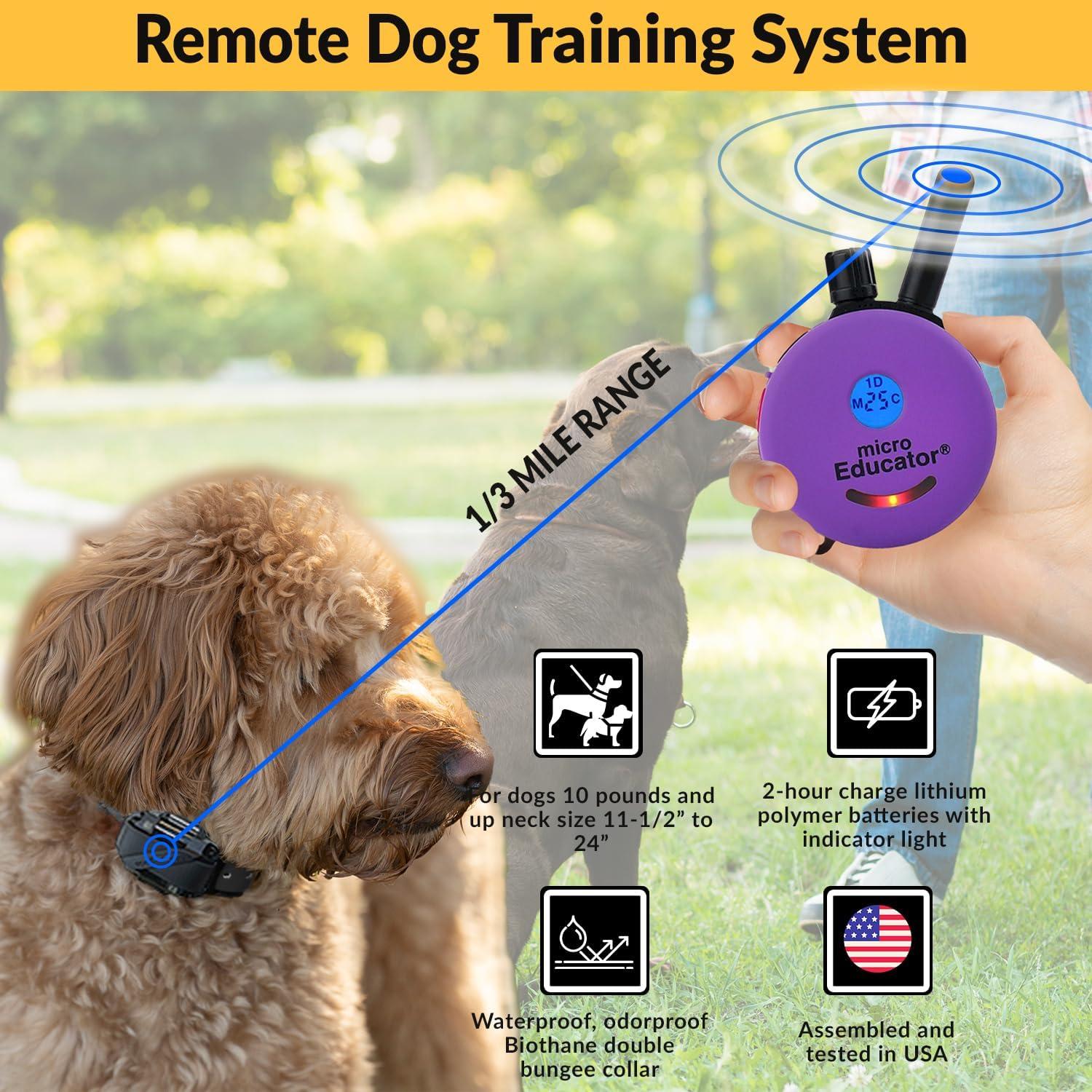 Micro Educator Purple Remote Light-Up Dog Training Collar