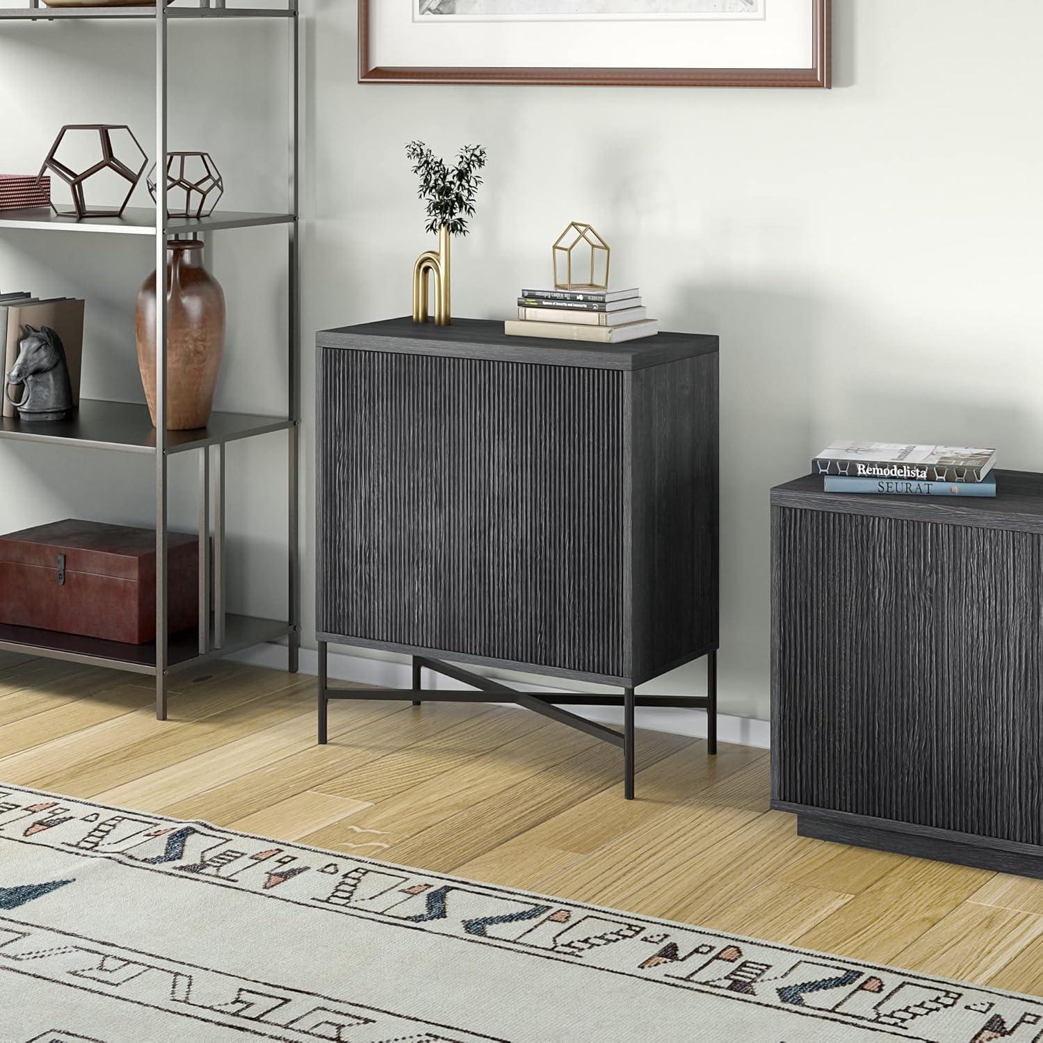 Evelyn&Zoe Brighton 28" Wide Rectangular Accent Cabinet, Charcoal Gray