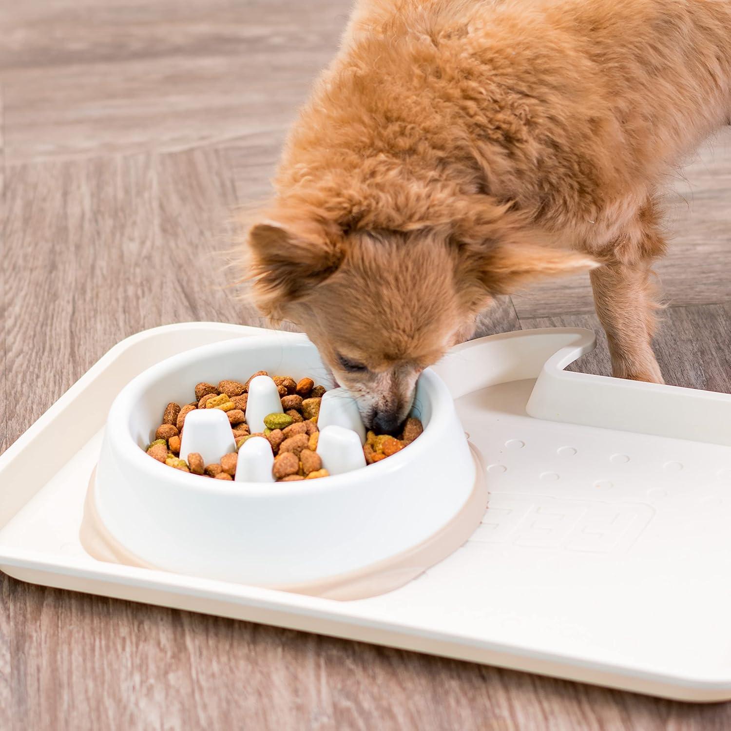 IRIS USA 2 Cup Slow Feeder Dog Bowl for Long Snouted Pets, White/Beige