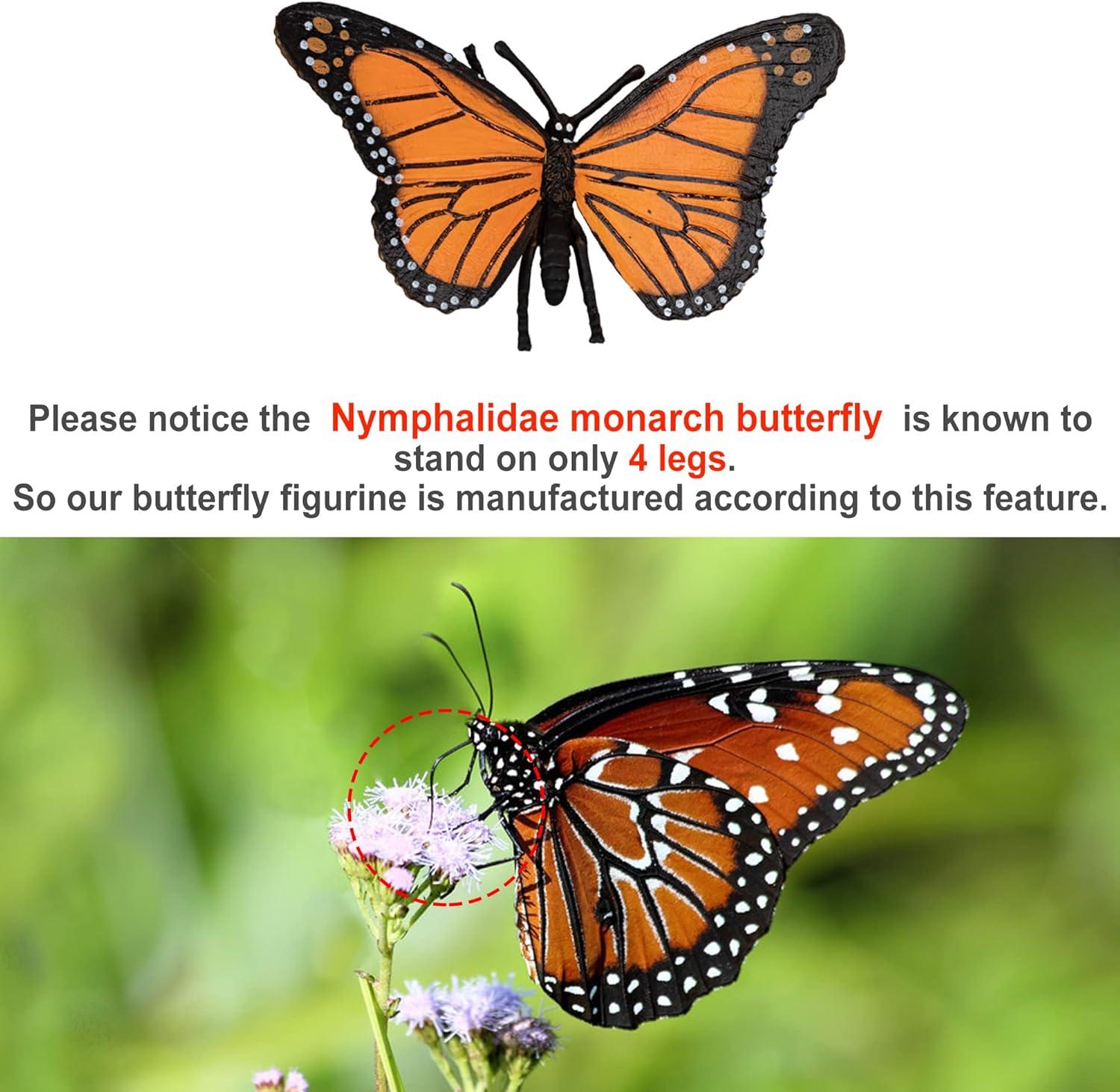 Toymany 16PCS Life Cycle of Goose White Swan Chicken Duck Farm Animals Figures, Plastic Safariology Growth Cycle Eggs Figurines Toy Kit School Project Cake Topper for Kids Toddlers