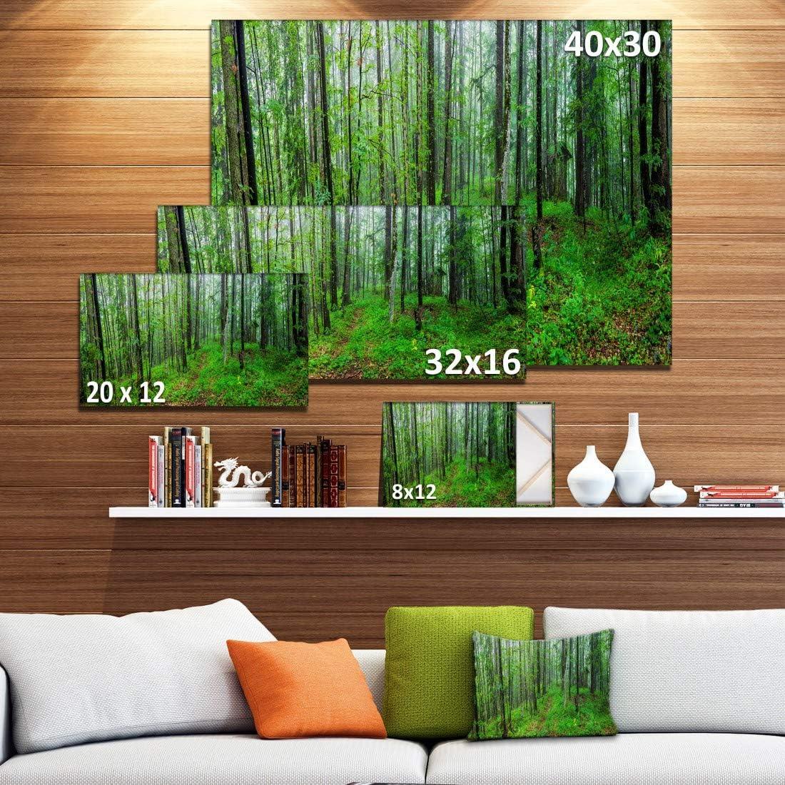 Green Wild Forest with Dense Trees Photographic Print on Wrapped Canvas