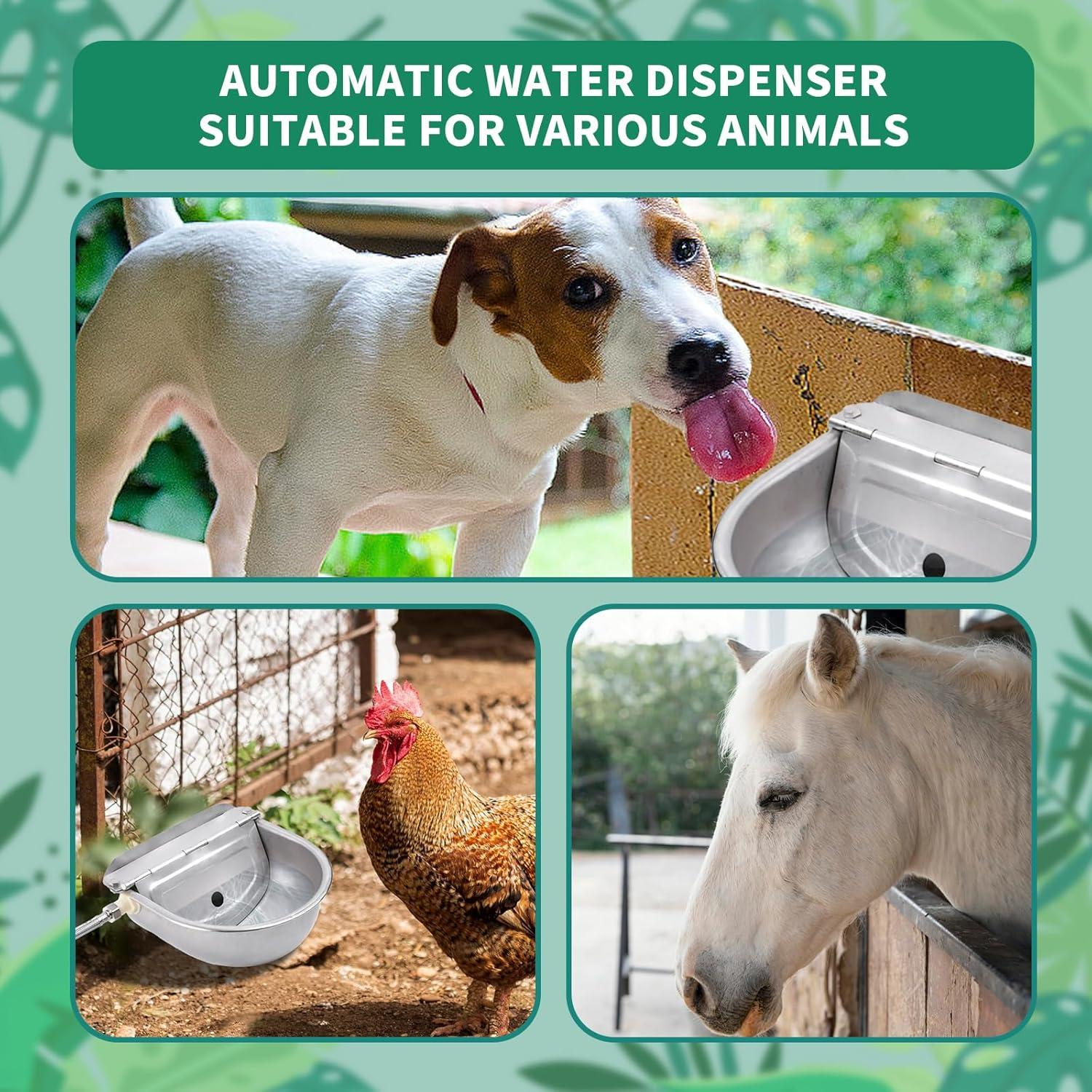 Automatic Dog Drinking Water Bowl, 304 Stainless Steel Outdoor Waterer for Dog Horse Pig Cow, Large Animal Dispenser with 2 Float Valves, Pipe Hose, Quick Connector and Expansion Bolt