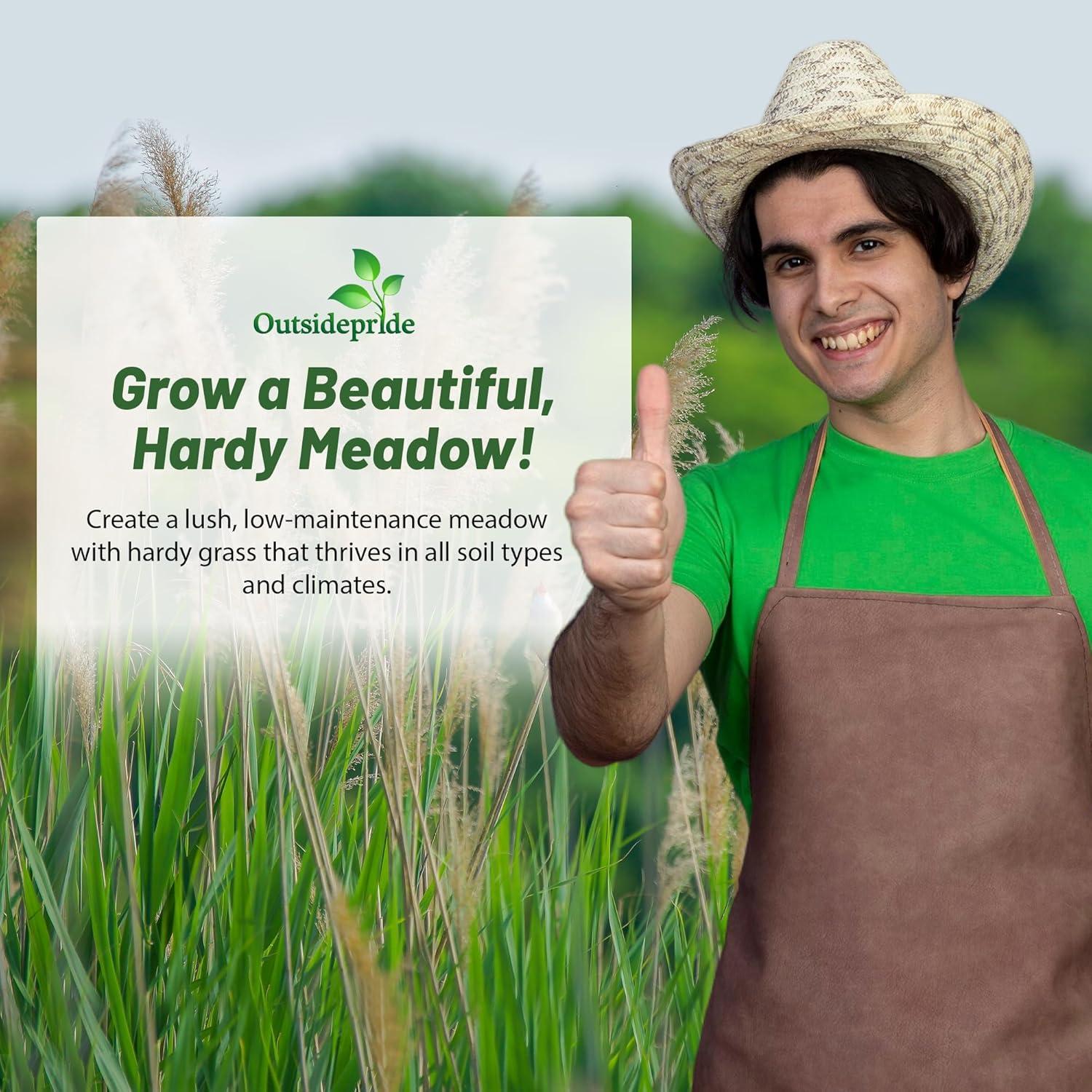 Outsidepride Indian Native Grass Seed - 5 lbs. Perennial, Low Maintenance, Drought-Tolerant Prairie Grass Seed for Wildlife Habitat, Livestock Forage, Ornamental Landscaping & Erosion Control