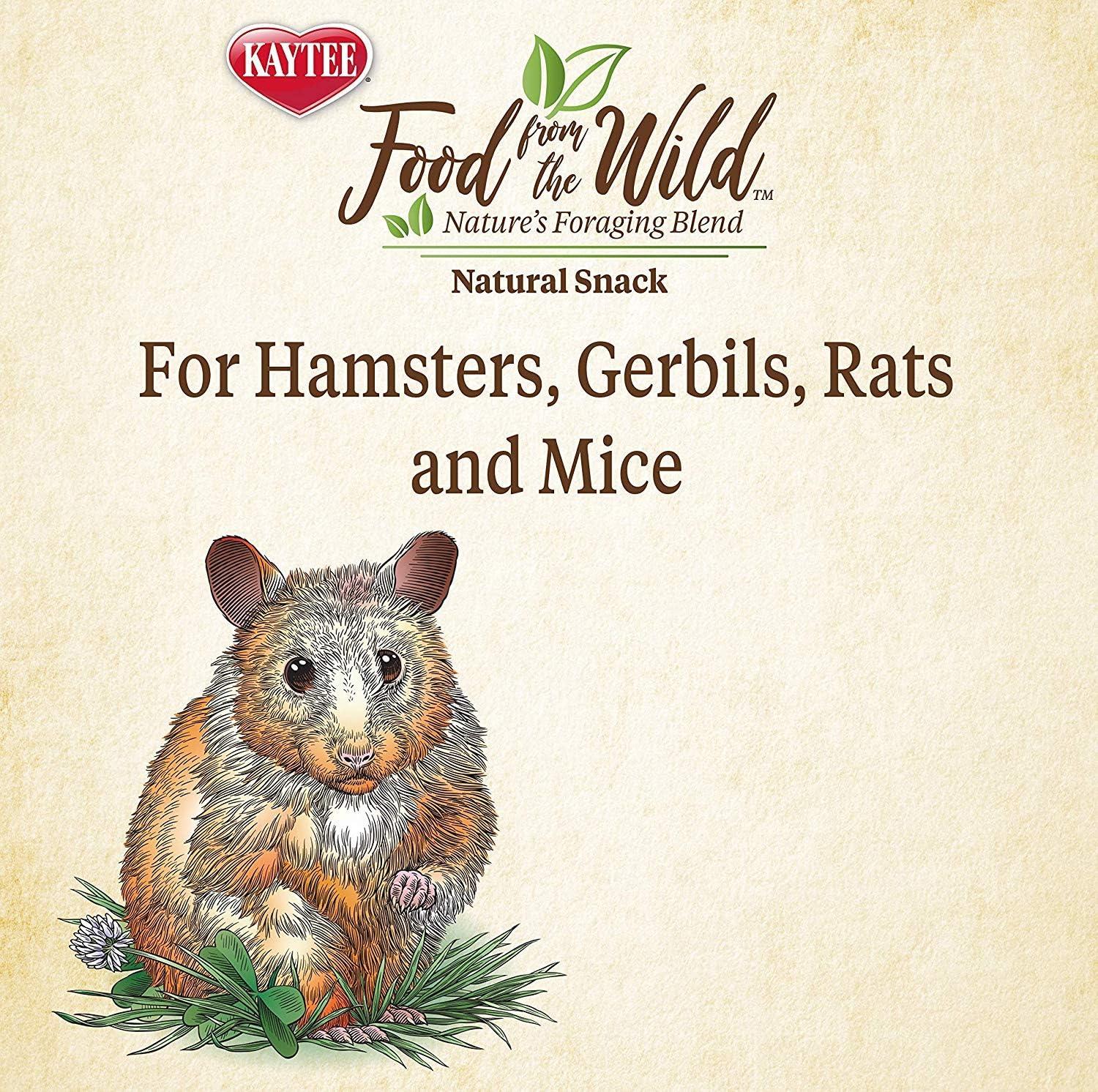 Kaytee Food From the Wild Natural Snack