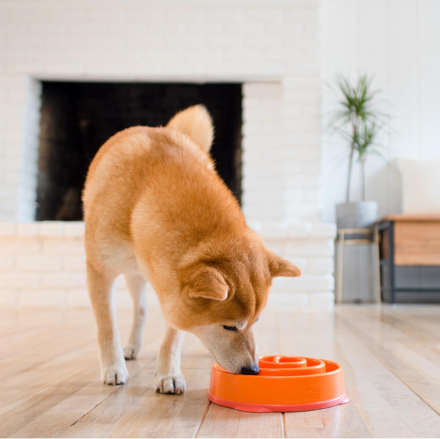 Small Orange Plastic Interactive Slow Feeder Bowl