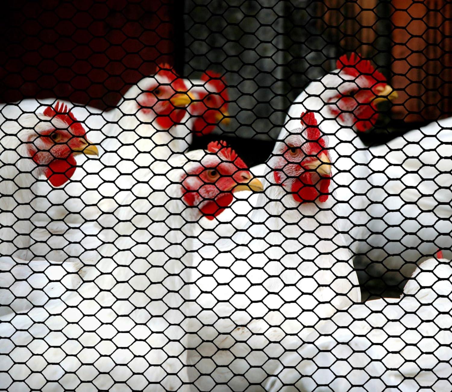 Boen - Plastic Hex Chicken Wire Mesh Temporary Fence Roll (2' x 25' - Black) - Plastic Fence Poultry Netting for Temporary or Semi Permanent Enclosures, Deer Netting Fence, Construction Fencing