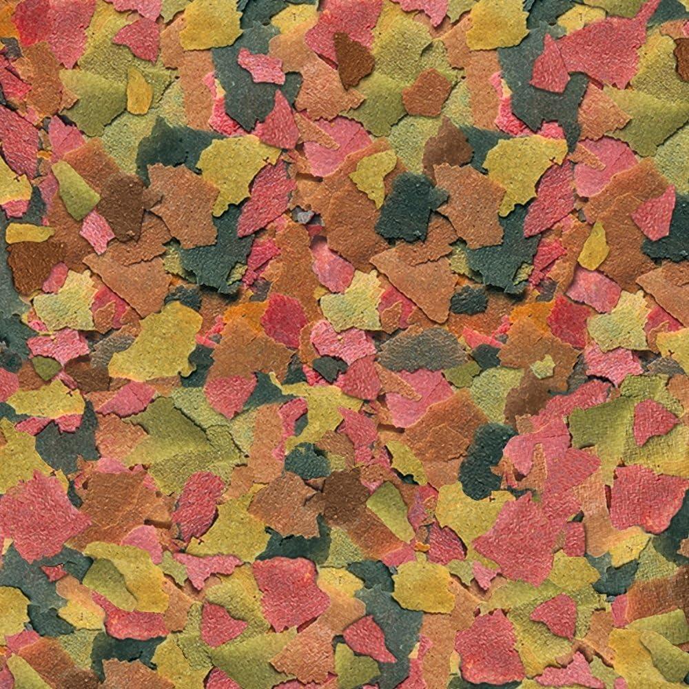 Tetra Tropical Large Flakes Nutritionally Balanced Fish Flavor Dry Fish Food - 5.65oz