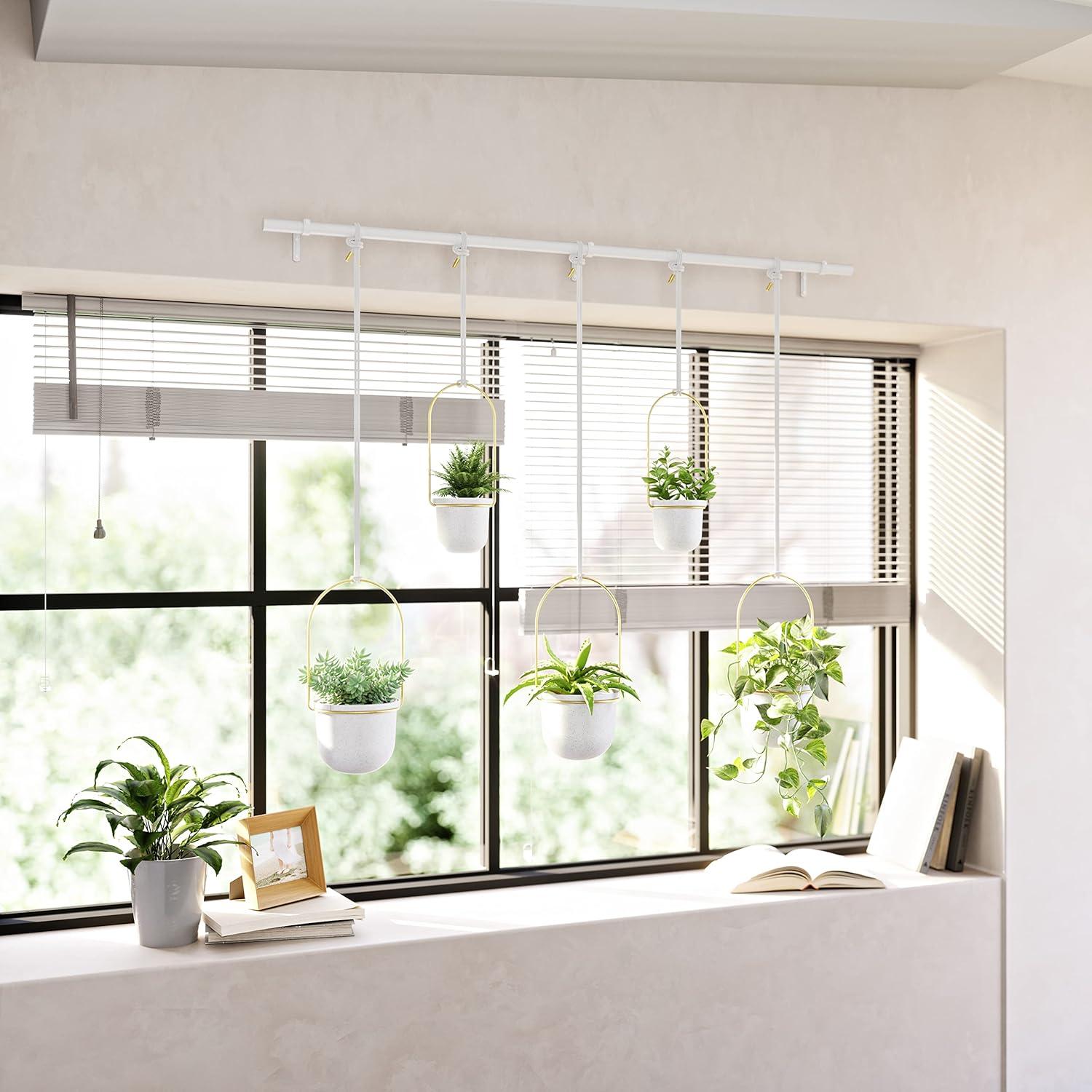 Umbra Hanging Planter