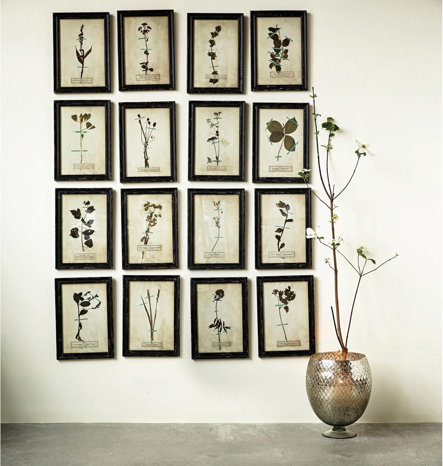 Distressed Black Wood Framed Botanical Wall Plaques Set of 16