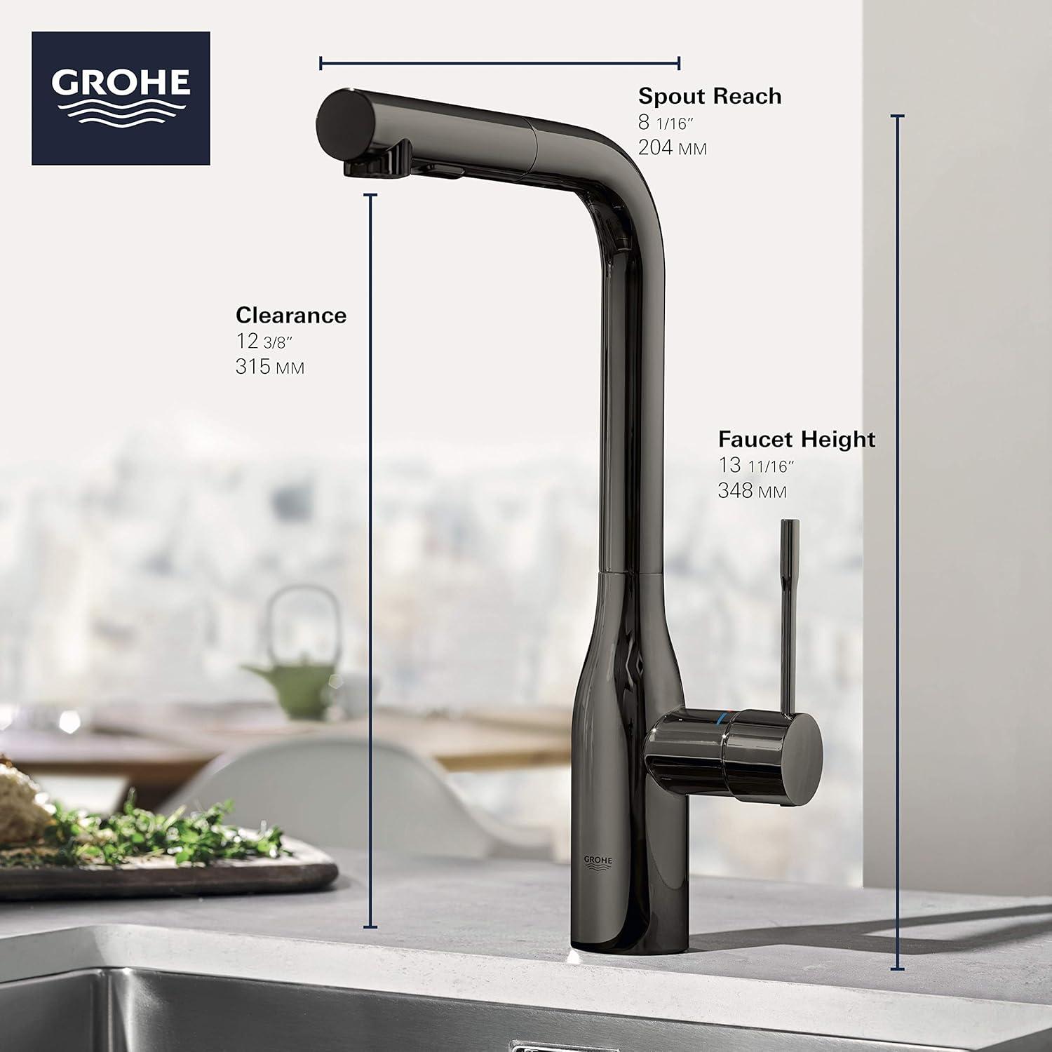 Essence Pull Out Single Handle Kitchen Faucet with Accessories