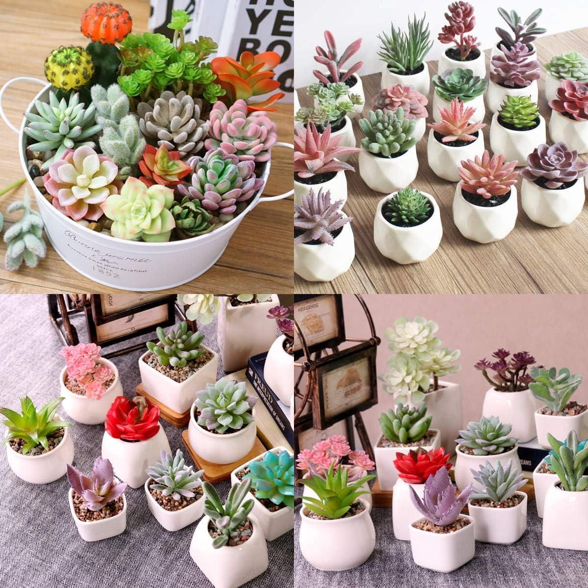 16 Pack Artificial Succulents Plants - Small Fake Plants for Miniature Gardens - Quality PVC Plastic - Faux Succulent Decor - Unique and Varied Designs - Ideal for Beautiful Gardens|The 16 pack of Art