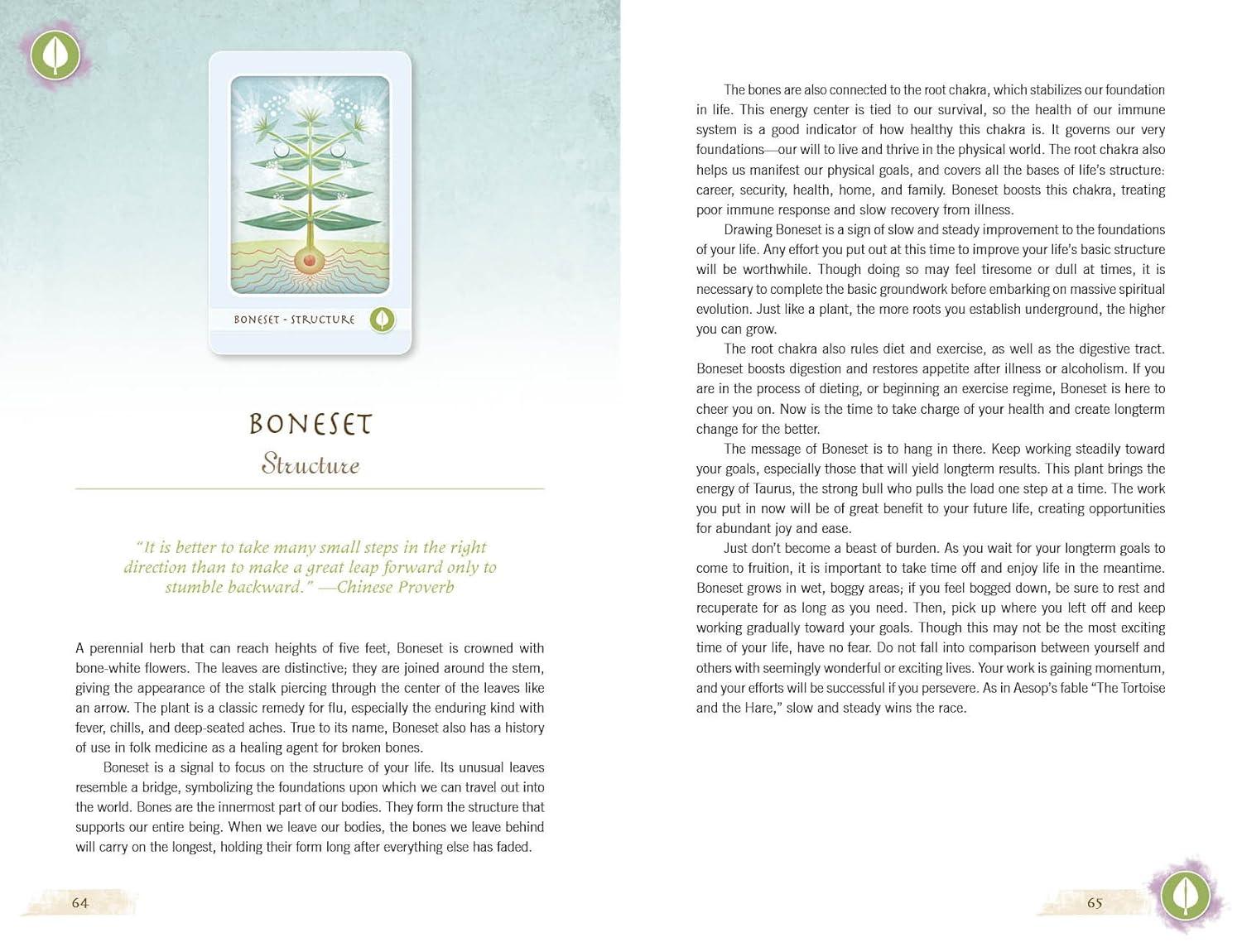 The Herbal Healing Deck (Deck and Guidebook Box Set), (Paperback)