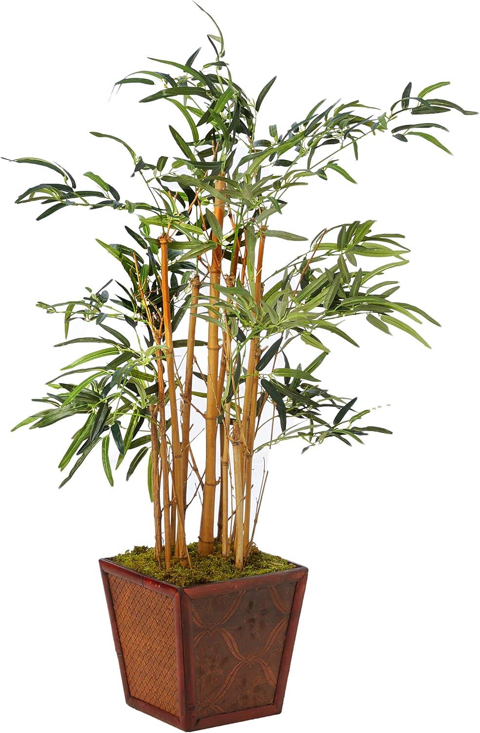 Lush Green 4ft Silk Bamboo in Square Wooden Planter