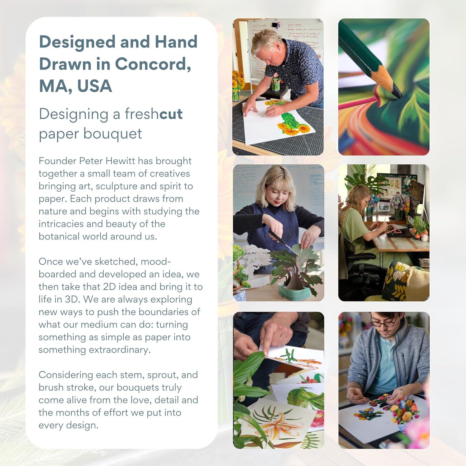 Freshcut Paper Pop Up Cards, Monstera, 12 Inch Life Sized Paper House Plants 3D Popup Greeting Cards, Birthday Card, Thank You Card, Blank Notecard & Envelope