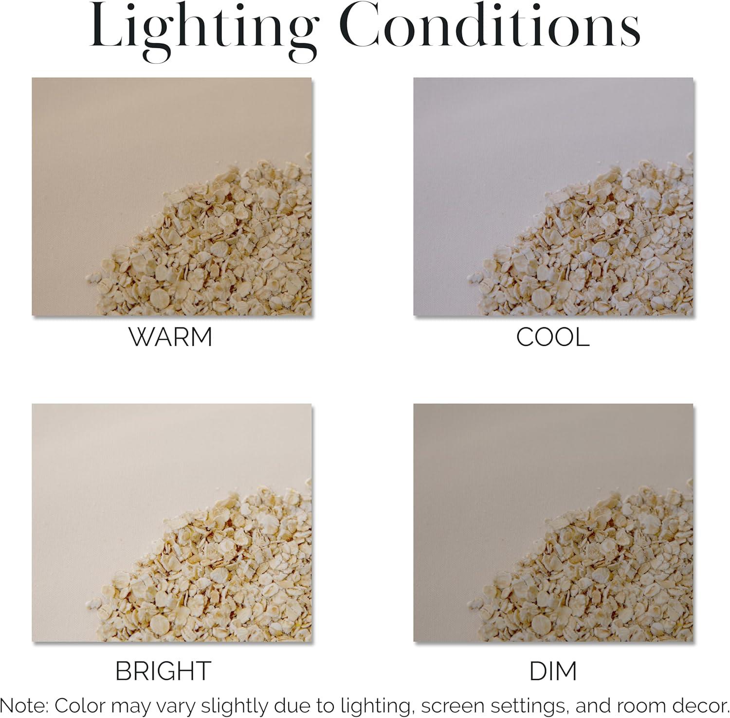 Southshore Fine Living, Inc. 6-Piece, 21-Inch Queen Sheets Deep Pocket, Pet Hair Resistant Queen Bed Sheet Set with Extra Deep Pocket Fitted Sheet, Bone Colored Sheets and Pillow Cases Set of 4, Bone