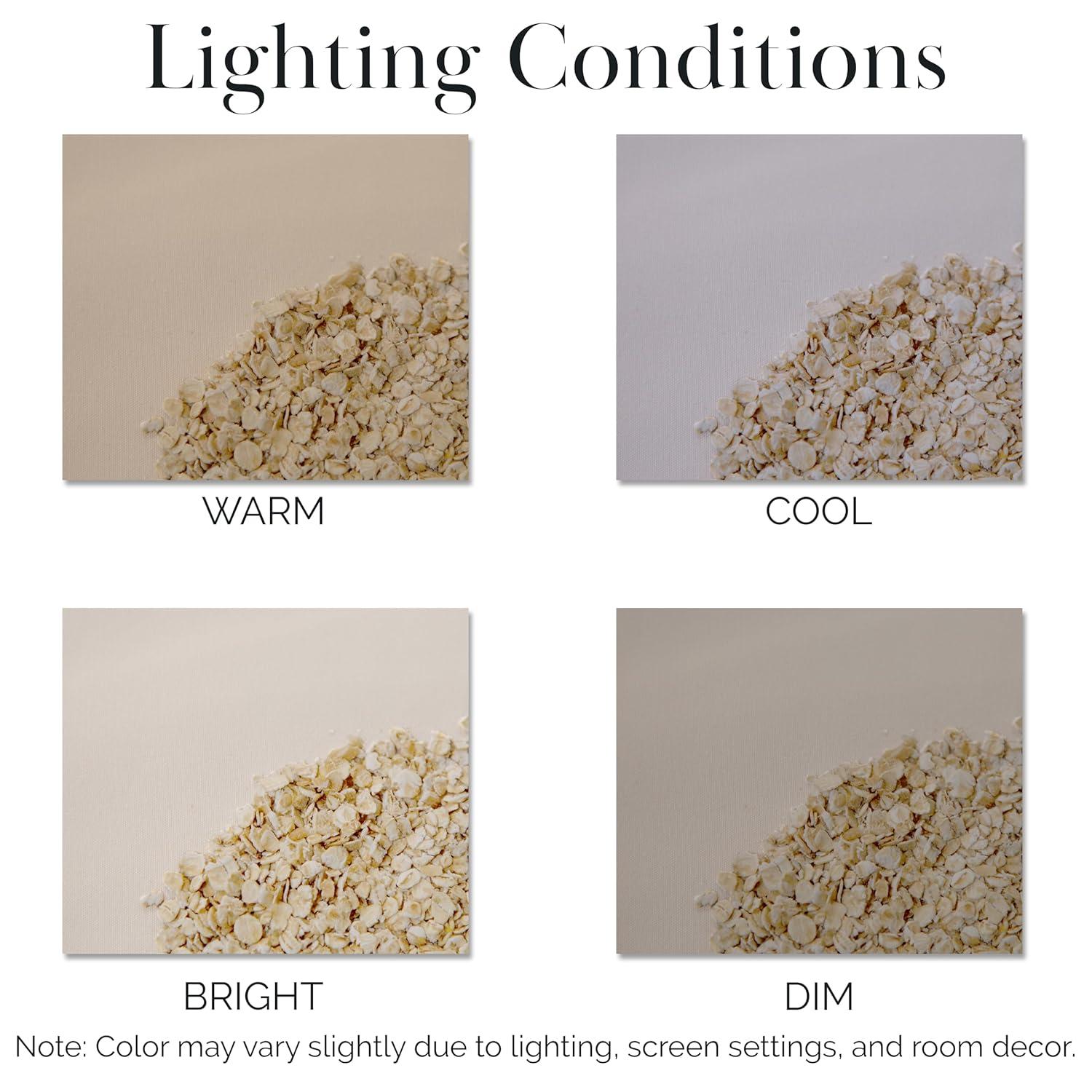 Southshore Fine Living, Inc. 6-Piece, 21-Inch Queen Sheets Deep Pocket, Pet Hair Resistant Queen Bed Sheet Set with Extra Deep Pocket Fitted Sheet, Bone Colored Sheets and Pillow Cases Set of 4, Bone