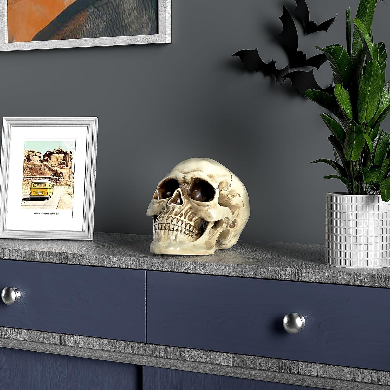 Life Size Painted Resin Human Skull Statue