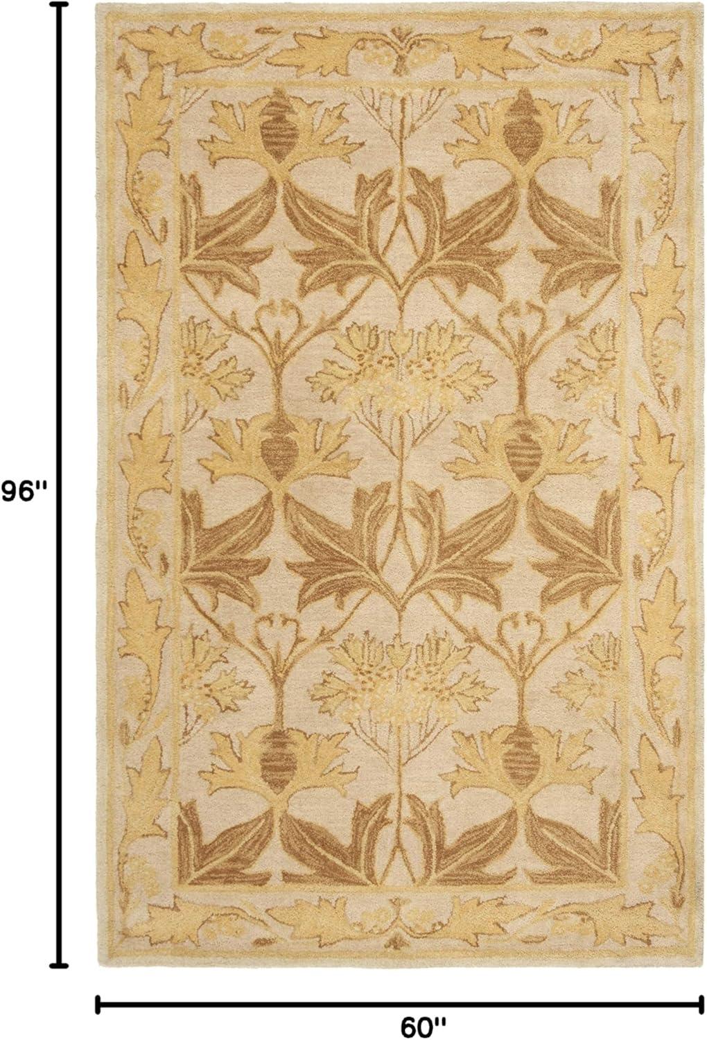 Anatolia AN541 Hand Tufted Area Rug  - Safavieh