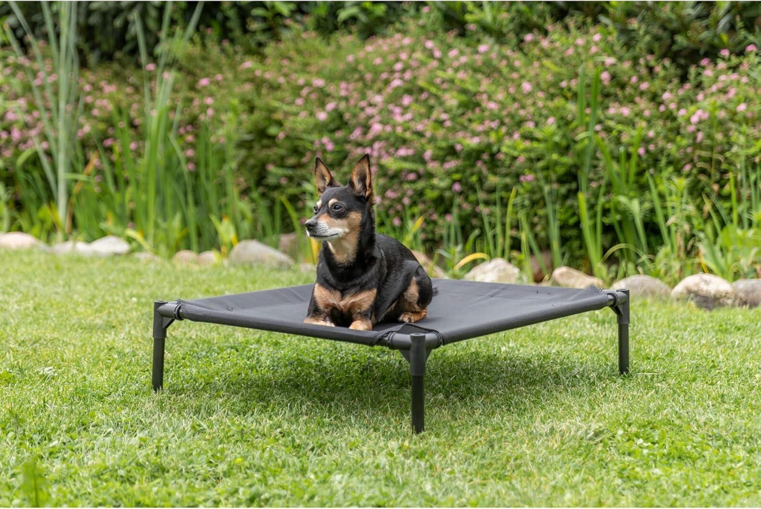 TRIXIE 2-in-1 Elevated Portable Dog House or Dog Cot & Tent for Small-Medium Dogs