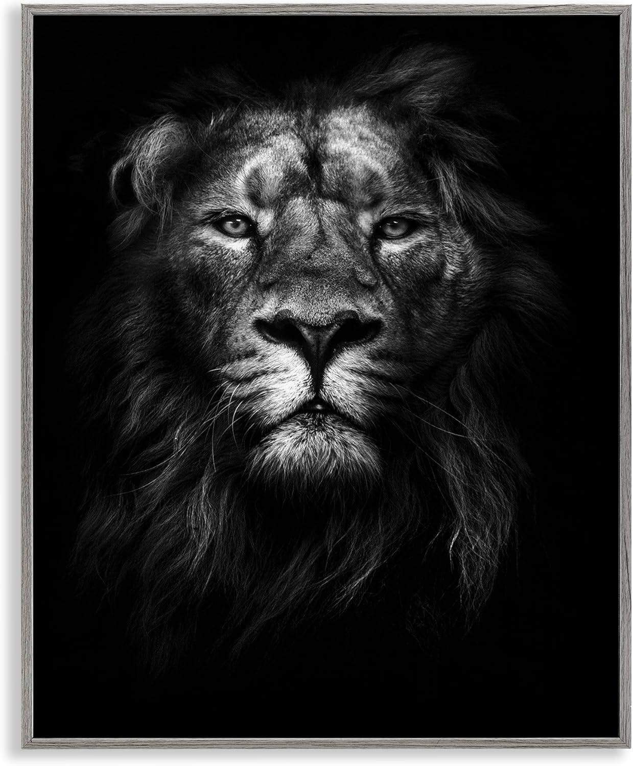 Stupell Industries King of the Jungle Lion In Shadows Black and White Photography, 16 x 20,Design by Design Fabrikken