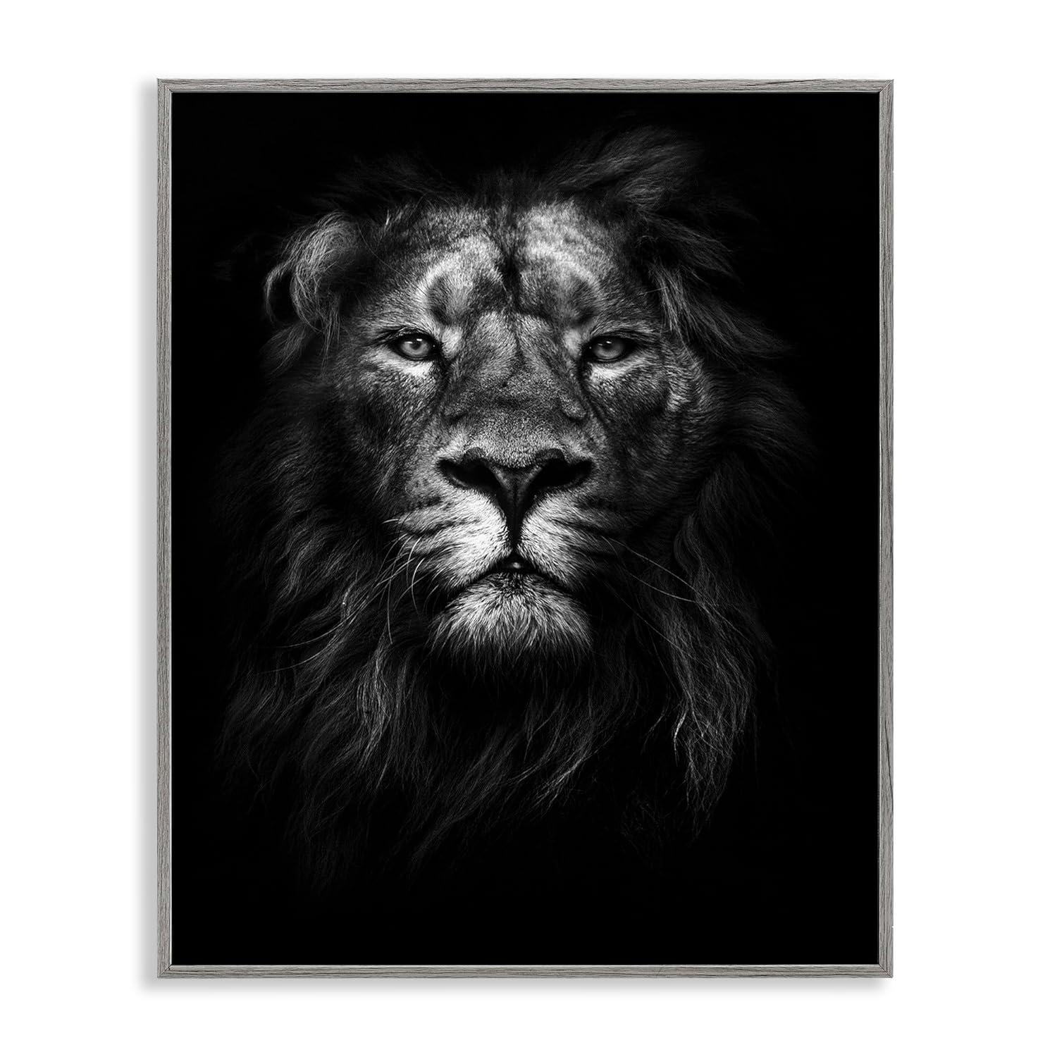 Stupell Industries King of the Jungle Lion In Shadows Black and White Photography, 16 x 20,Design by Design Fabrikken