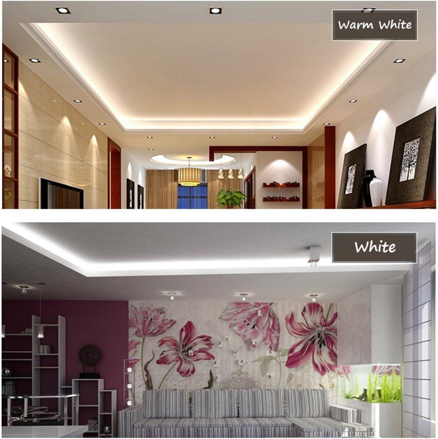 Warm White Color LED Strip Light, AC 110-120V Flexible/Waterproof/Multi-Modes Function/Dimmable SMD5050 LED Rope Light with Remote for Home/Office/Building Decoration (164ft/50m)